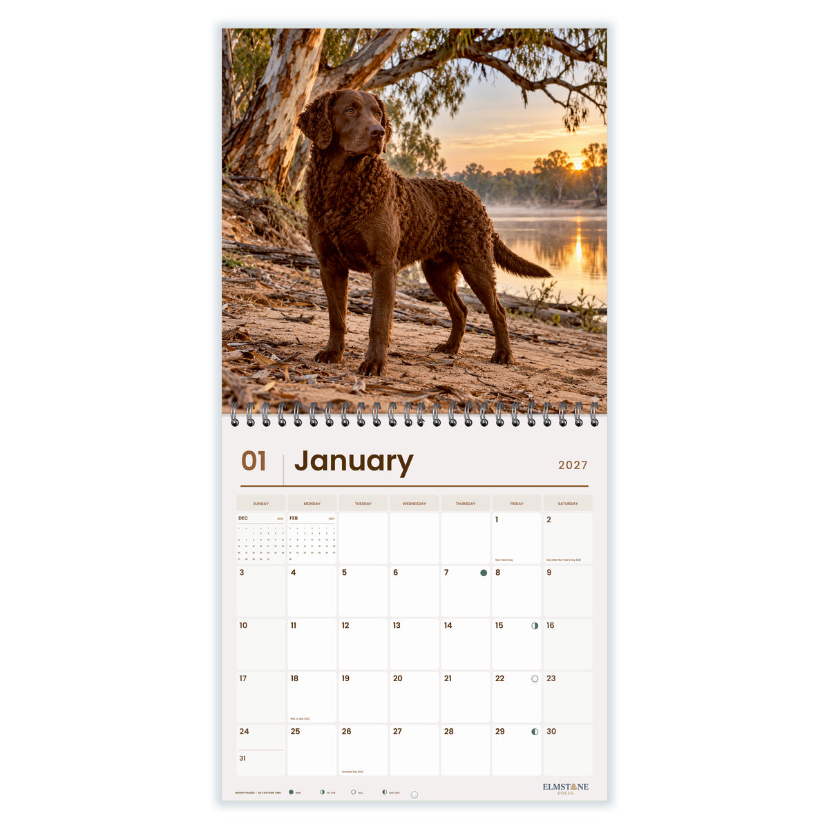 2027 Murray River Retrievers Wire-O square wall calendar - january open monthly spread on white