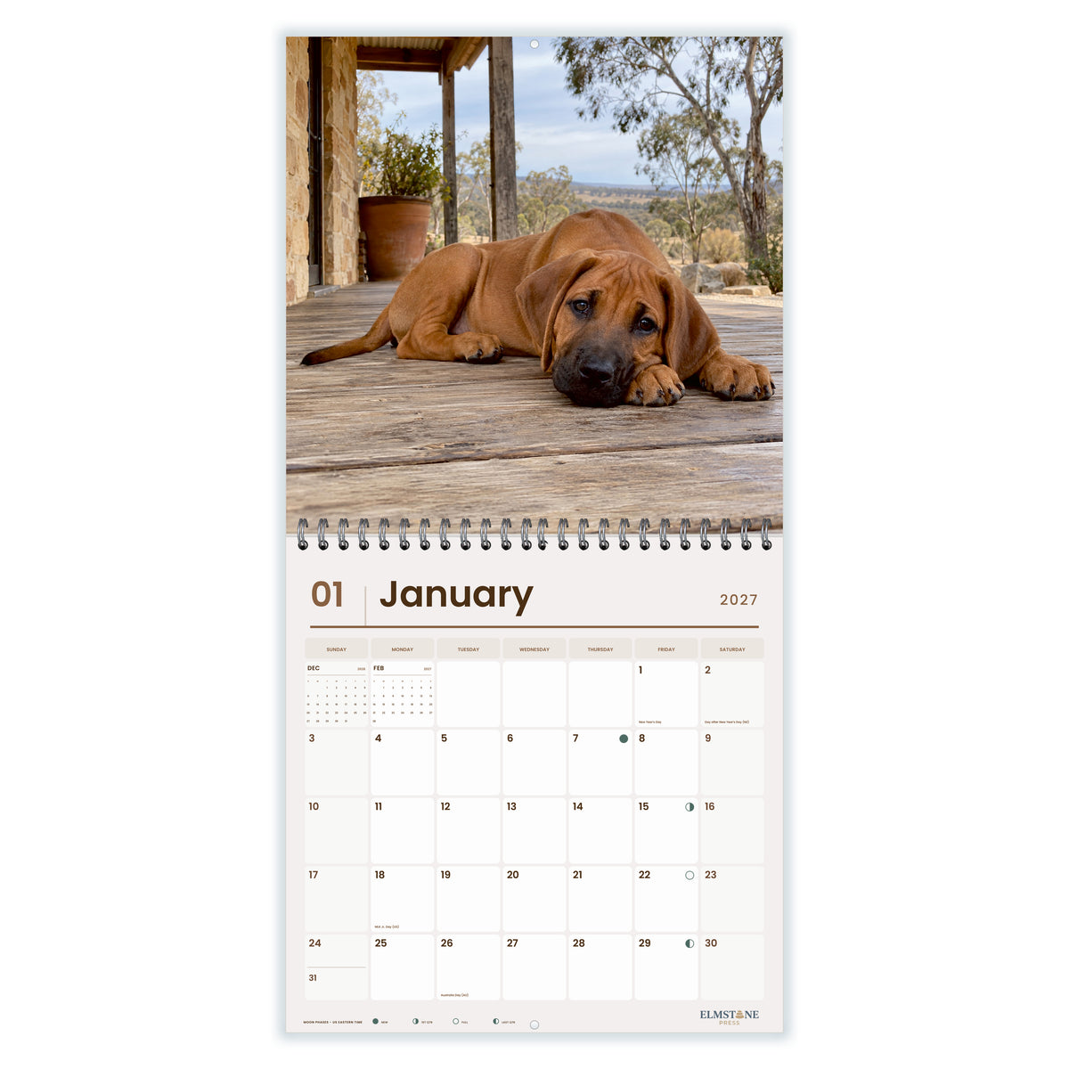 2027 Rhodesian Ridgeback Puppies Wire-O square wall calendar - january open monthly spread on white