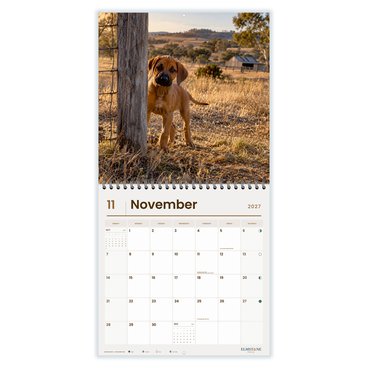 2027 Rhodesian Ridgeback Puppies Wire-O square wall calendar - november open monthly spread on white