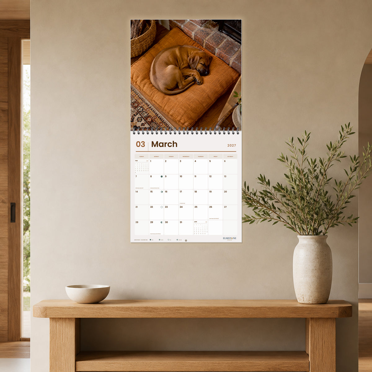 2027 Rhodesian Ridgeback Puppies Wire-O square wall calendar - open calendar displayed in a taupe entry march