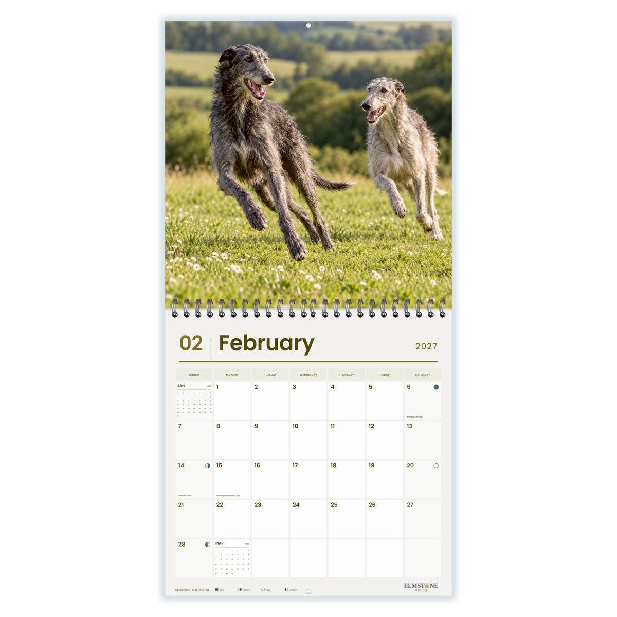 2027 Scottish Deerhounds Wire-O square wall calendar - february open monthly spread on white