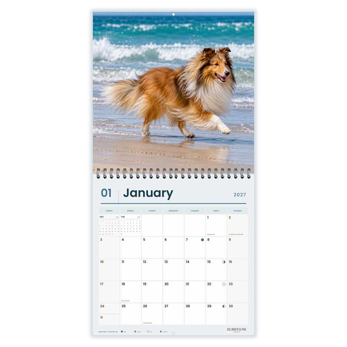 2027 Shelties Wire-O square wall calendar - january open monthly spread on white