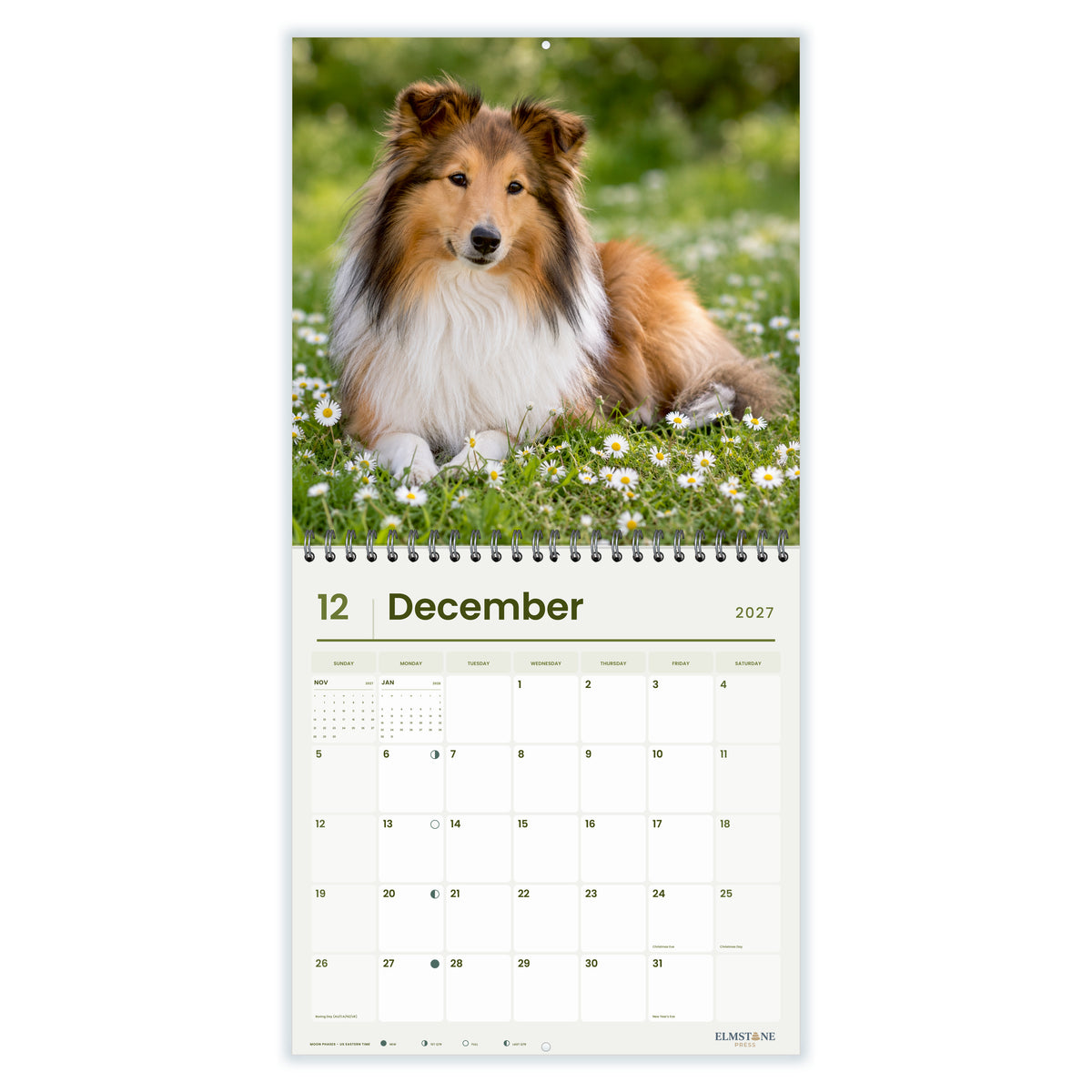 2027 Shelties Wire-O square wall calendar - december open monthly spread on white
