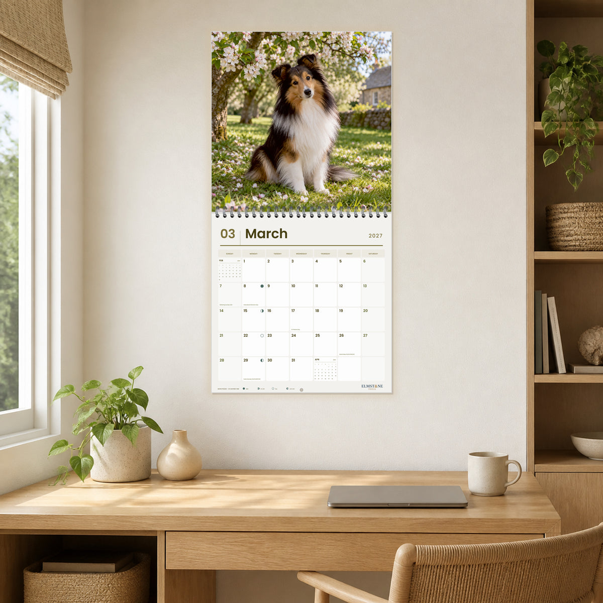 2027 Shelties Wire-O square wall calendar - open calendar displayed in a oak home office march