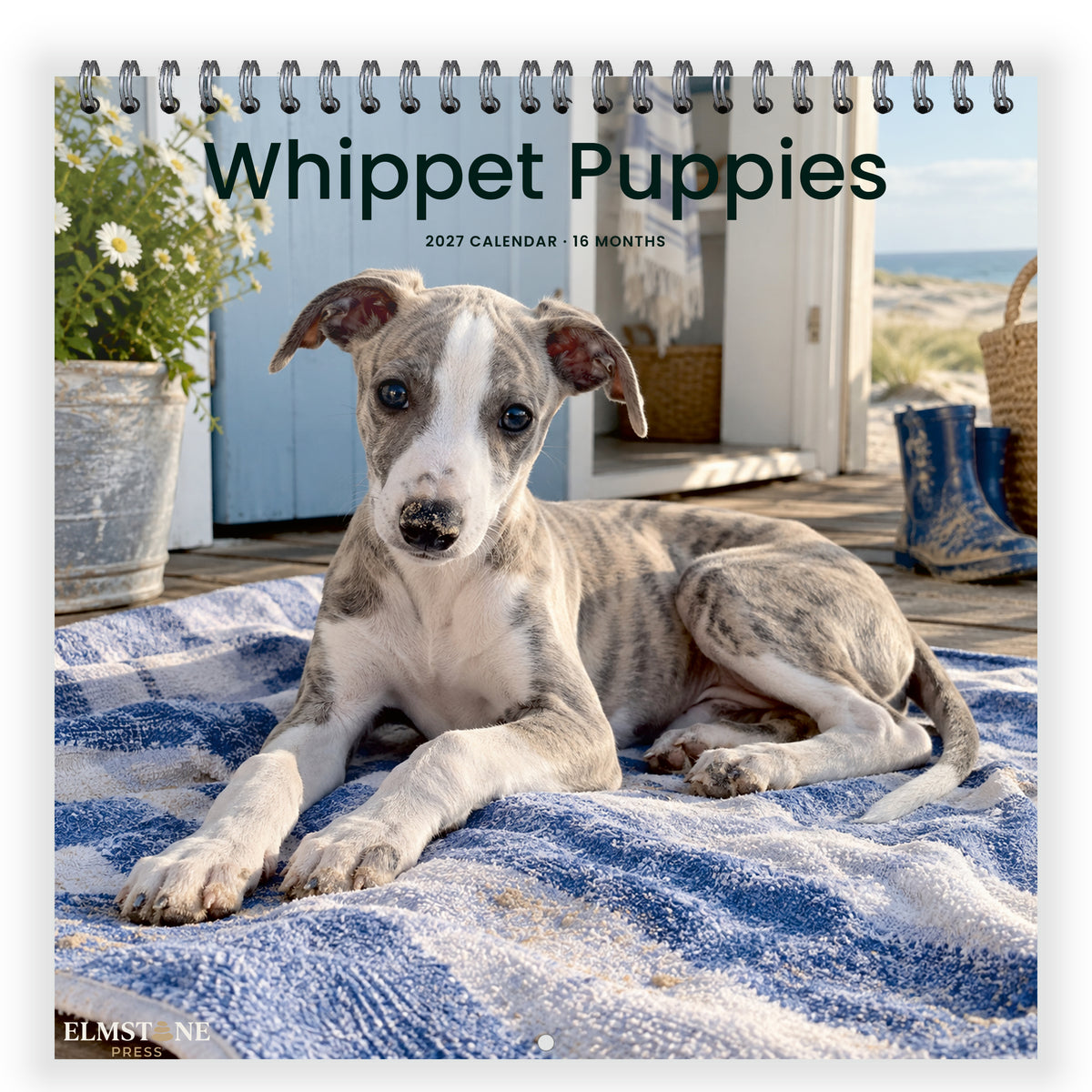 2027 Whippet Puppies Wire-O square wall calendar - front cover