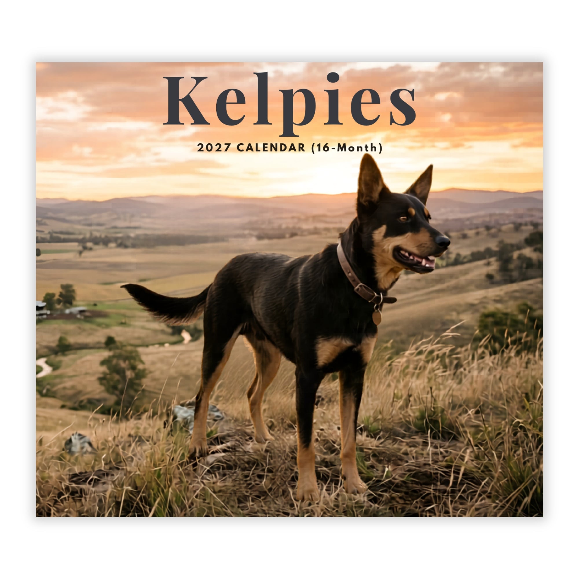 2027 Kelpies - Deluxe Wall Calendar