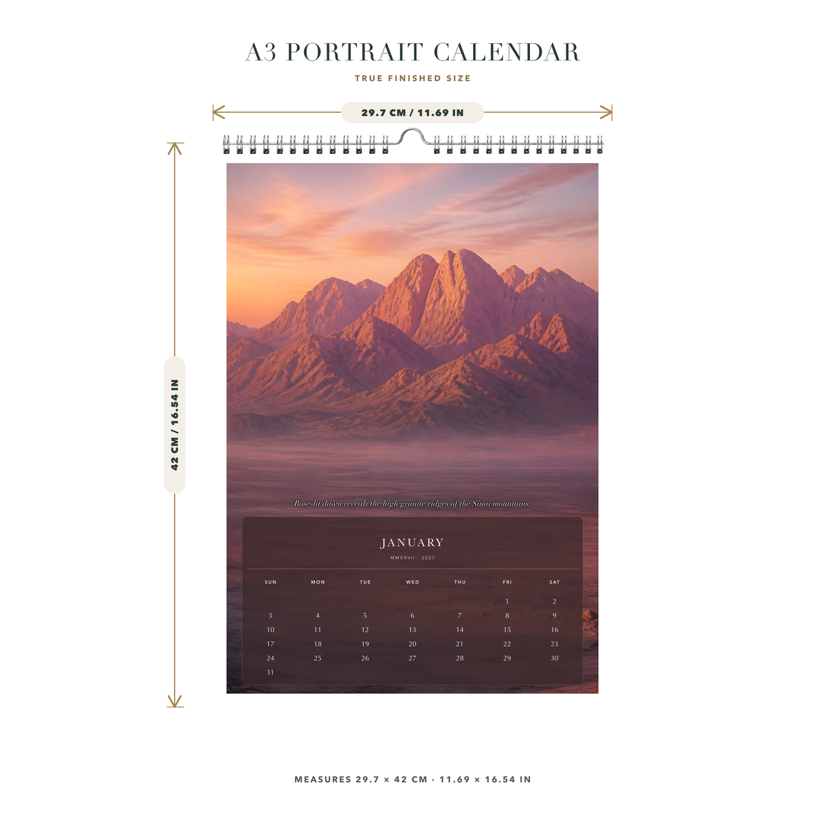 2027 Egypt (The Grand Canvas Collection) - A3 Wall Calendar - Image 08