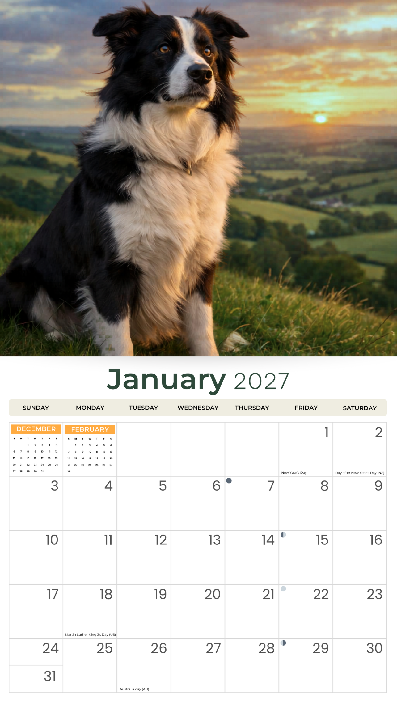 2027_Border_Collies_Calendar_-_Insider_Cover.png
