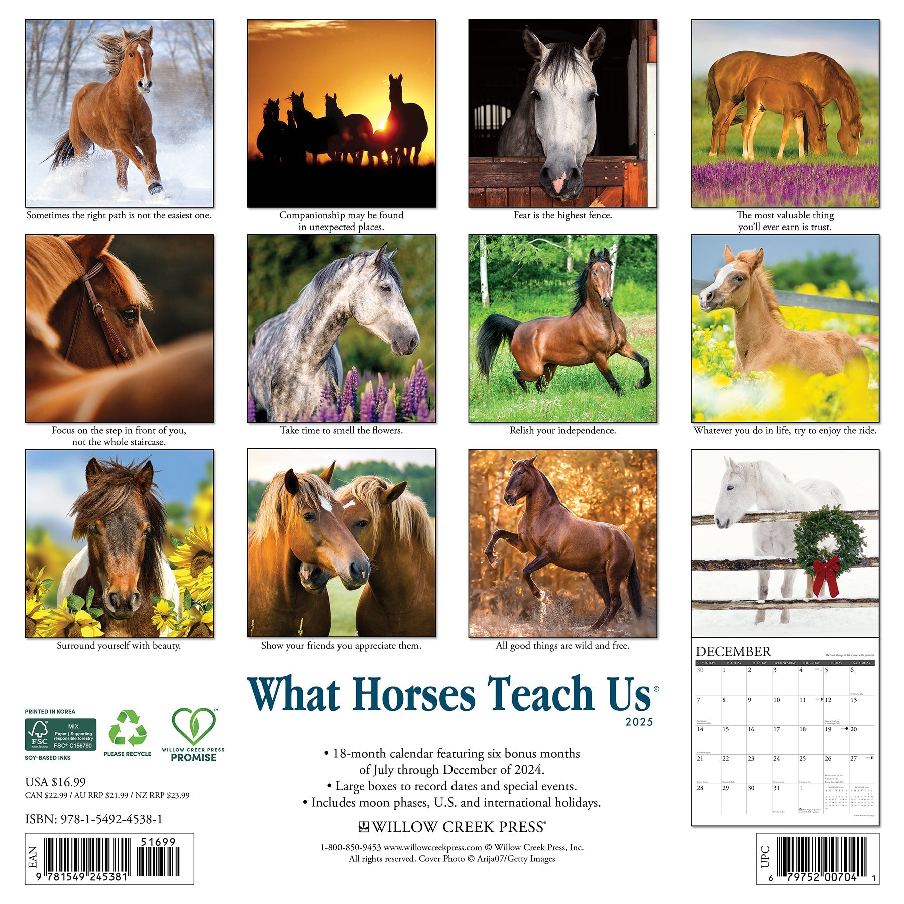 2025 What Horses Teach Us - Square Wall Calendar