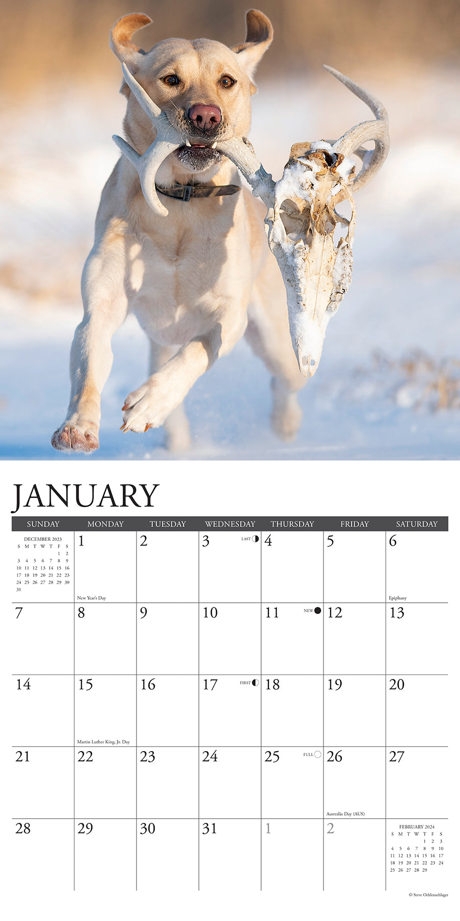 2024 Hunting Labs Square Wall Calendar Animals & Wildlife
