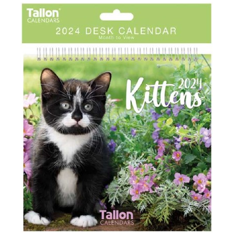 2024 Kittens - Desk Easel Calendar  SOLD OUT