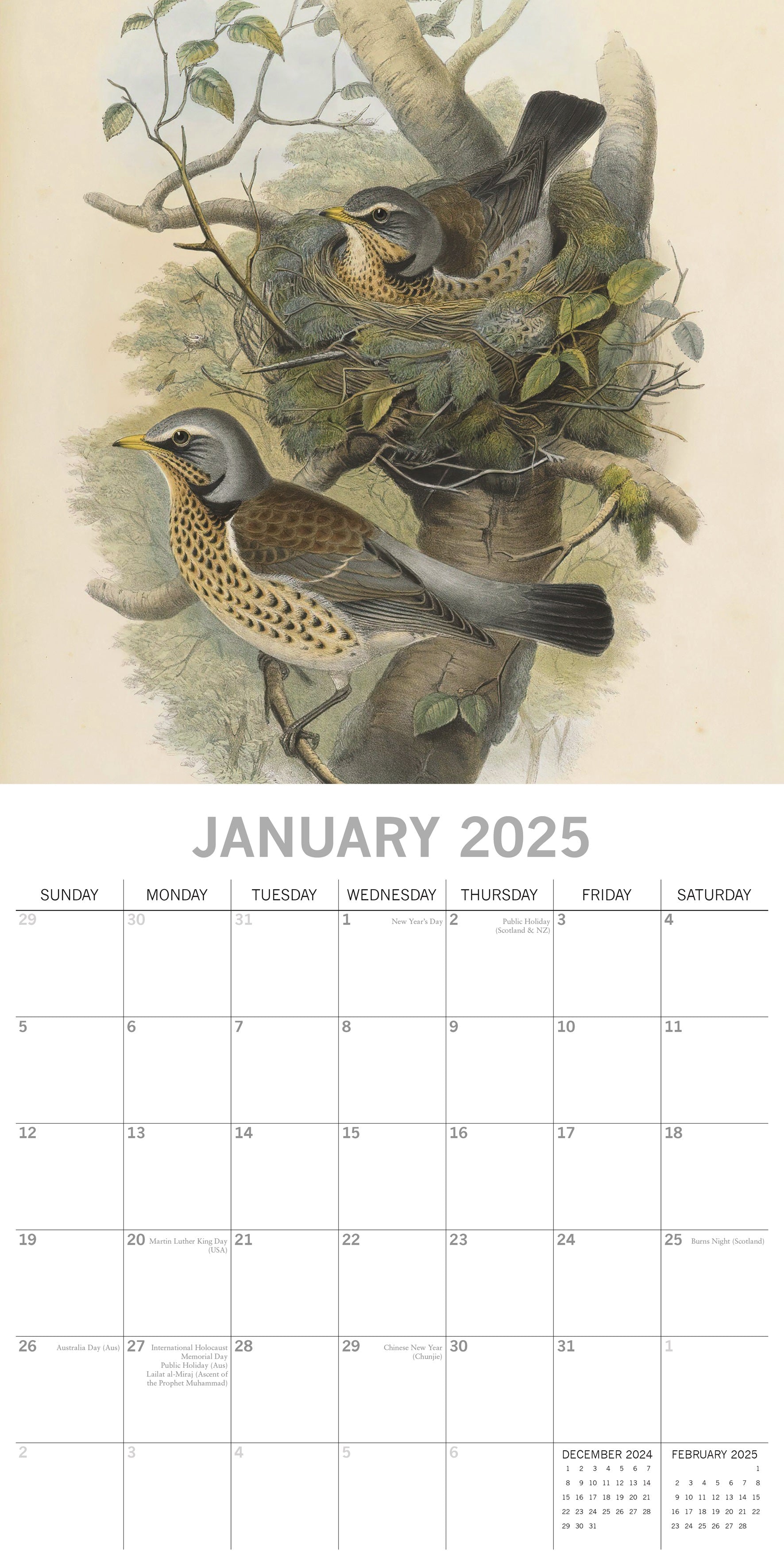 2025 Garden Birds - Square Wall Calendar