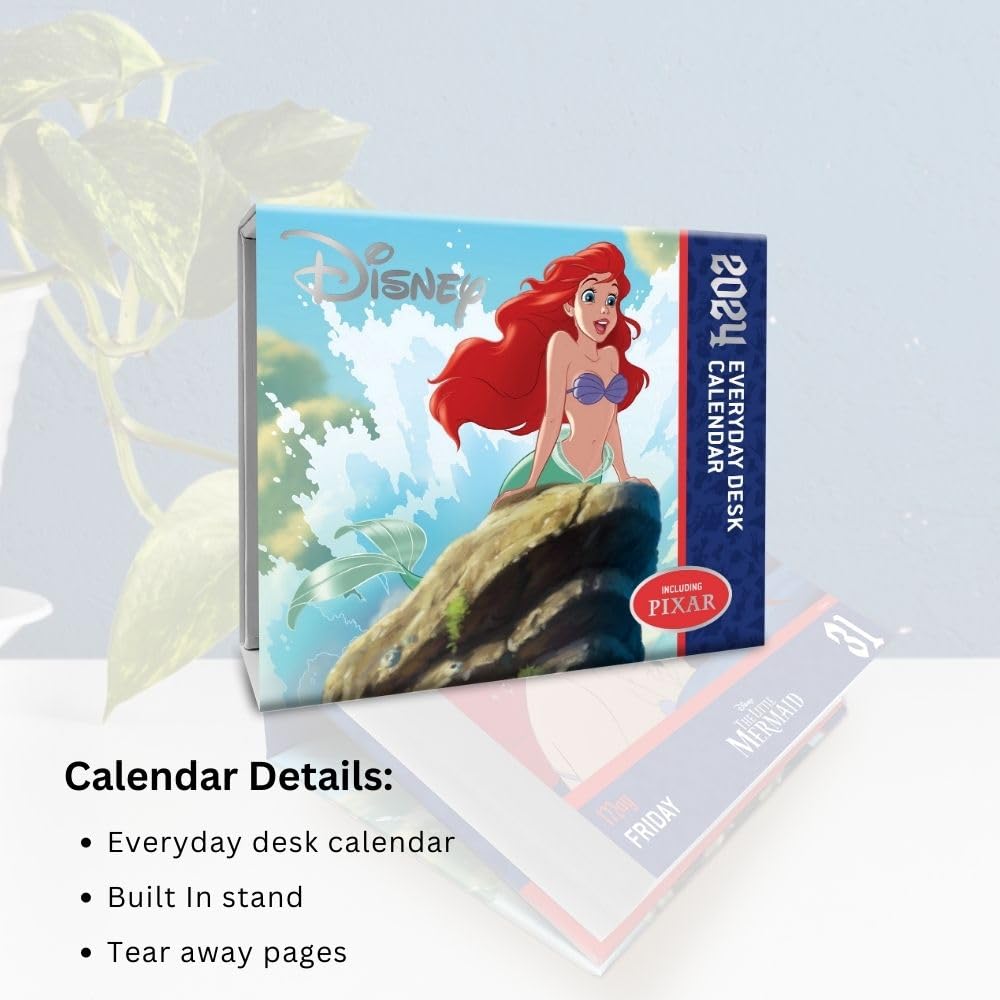 2024 Disney Animation Daily Boxed PageADay Calendar