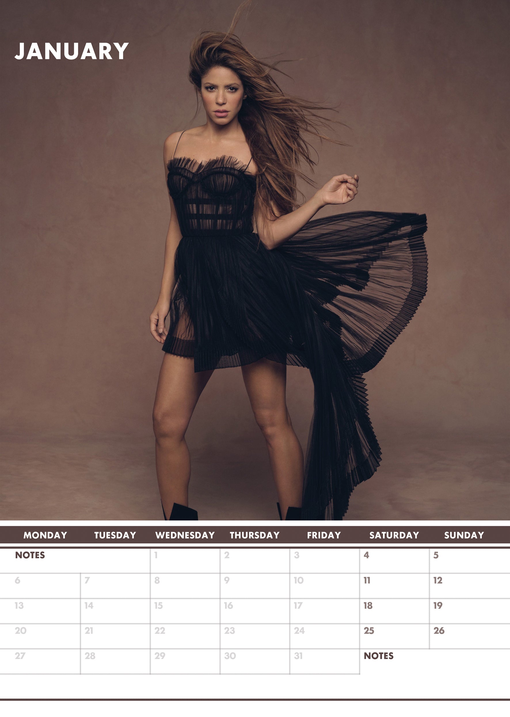 2025 Shakira - A3 Wall Calendar