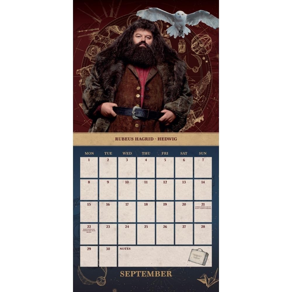 2025 Harry Potter - Square Wall Calendar