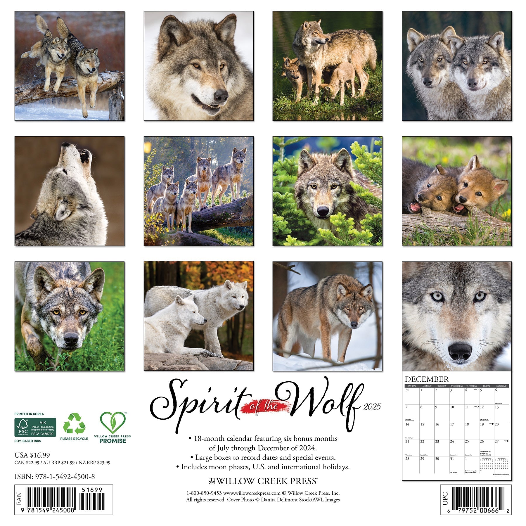 2025 Spirit of the Wolf - Square Wall Calendar