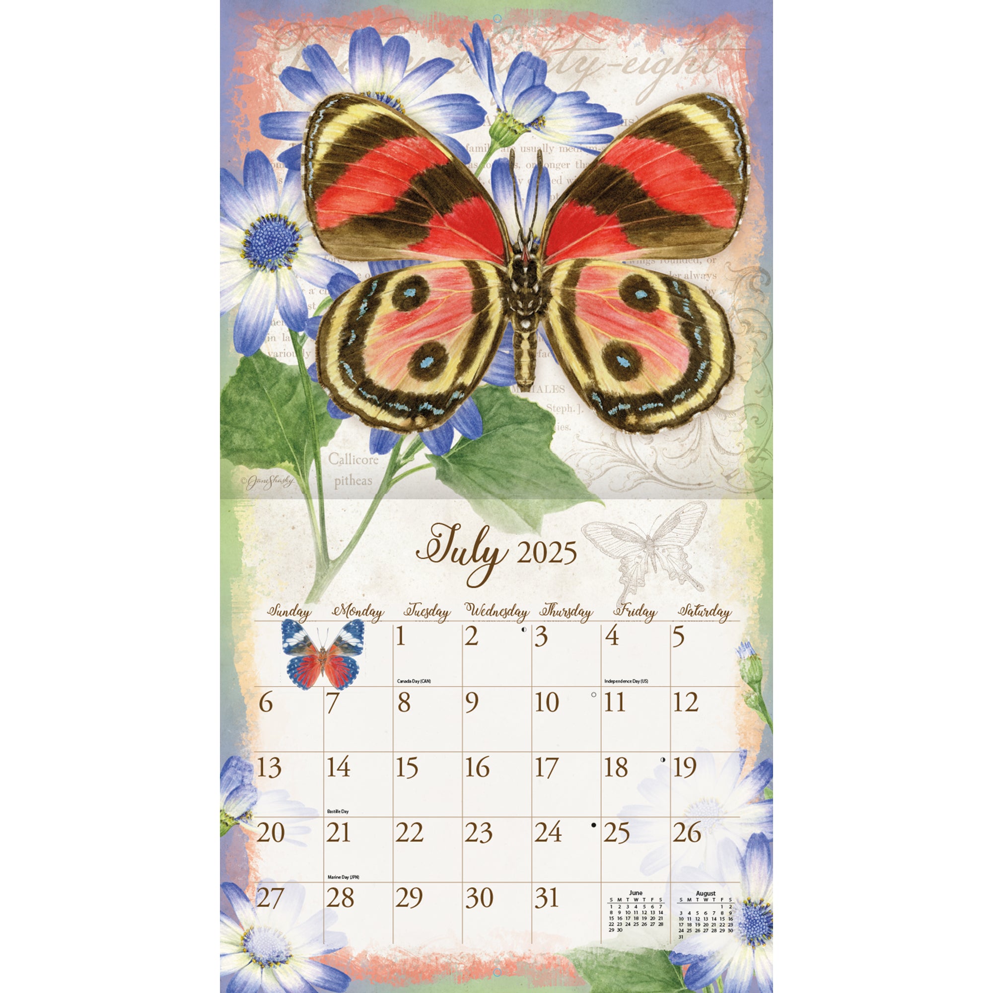 2025 LANG Butterflies By Jane Shasky - Deluxe Wall Calendar