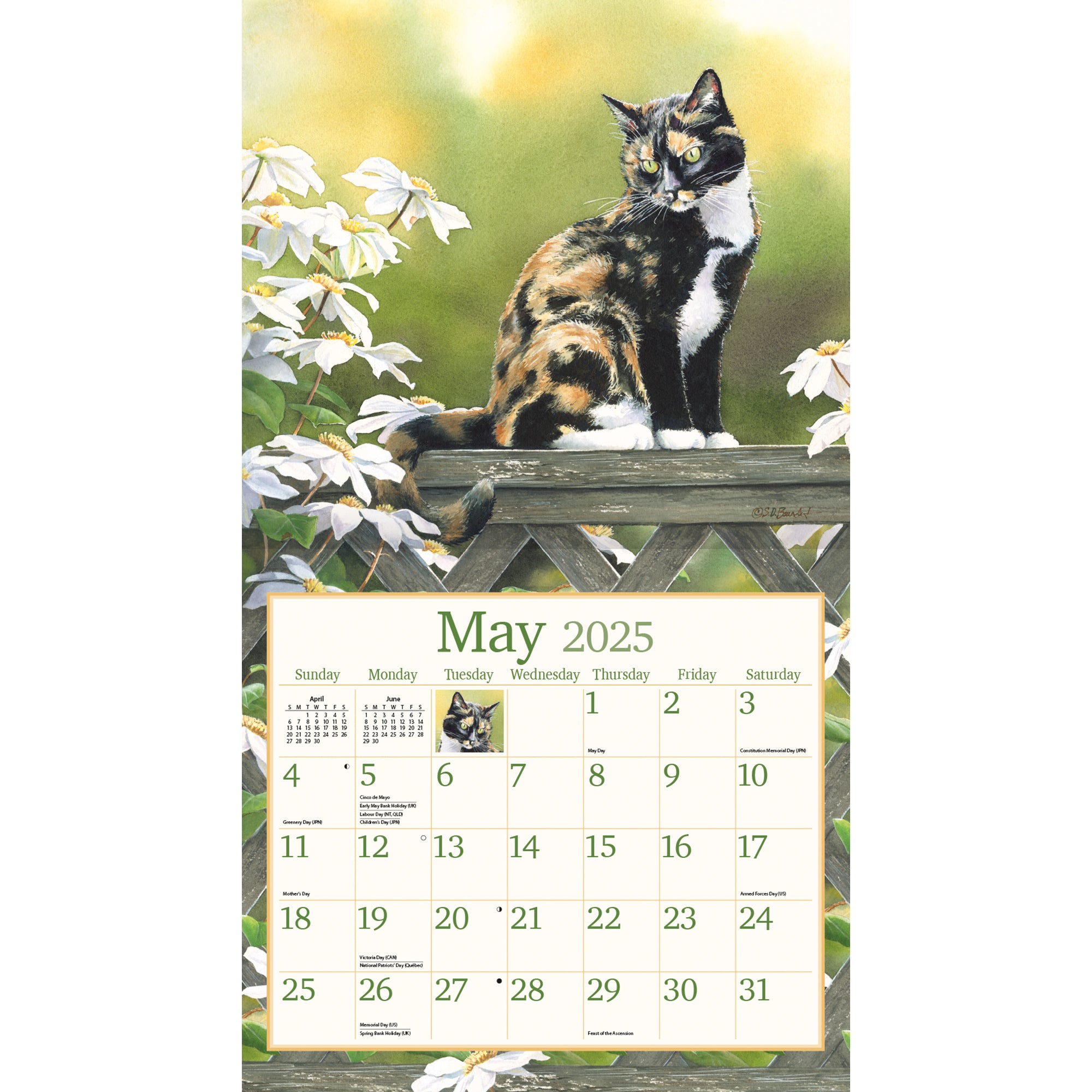 2025 Aspca Calendar Order