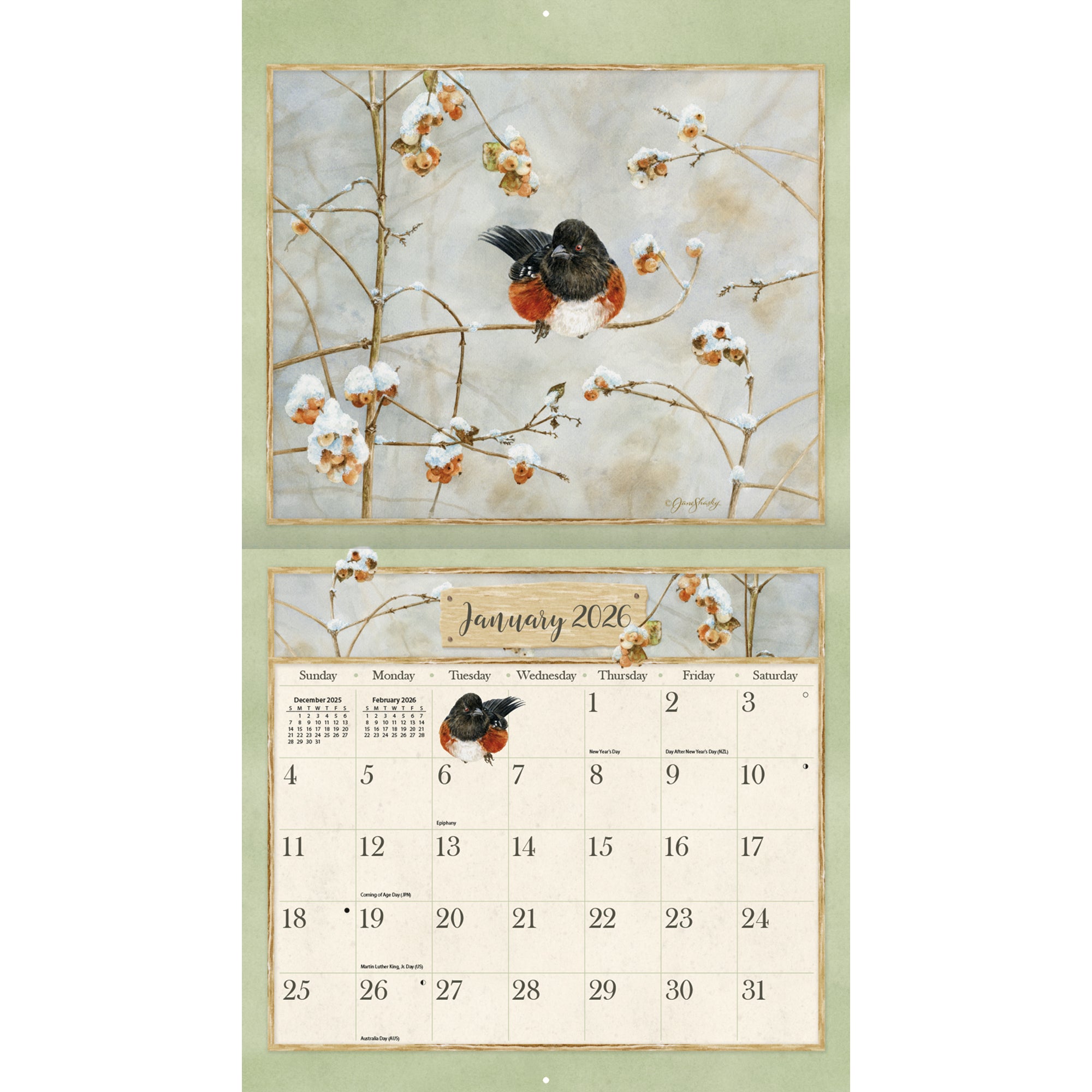 Birds In The Garden 2012 Calendar: Perfect Tiing - Lang