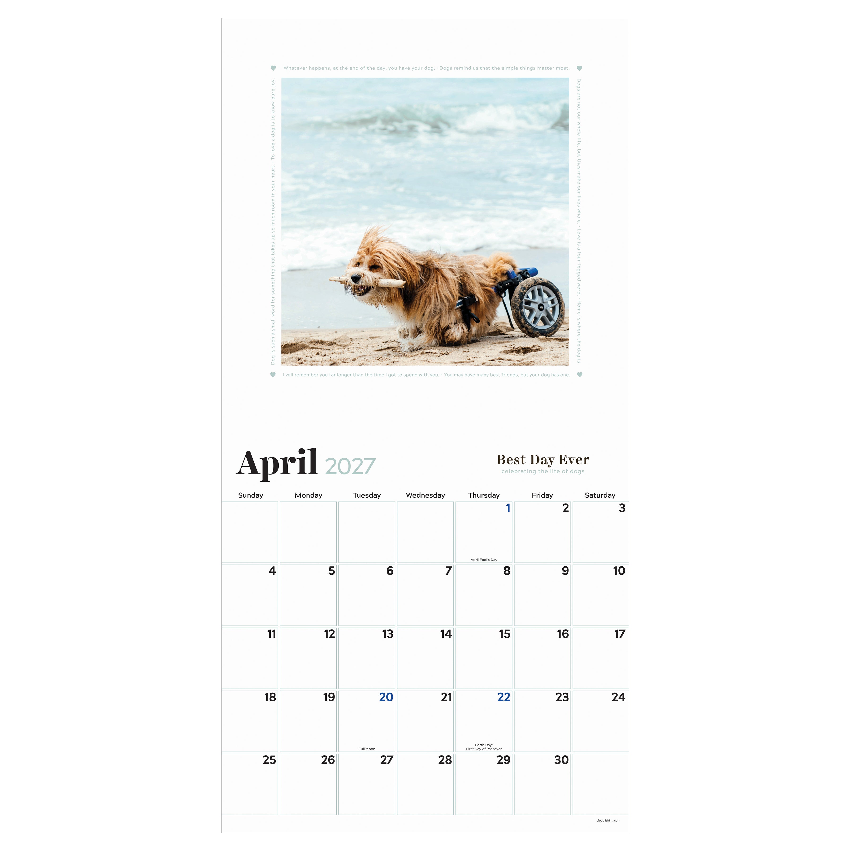 2027 Best Day Ever: Celebrating The Life of Dogs - Square Wall Calendar
