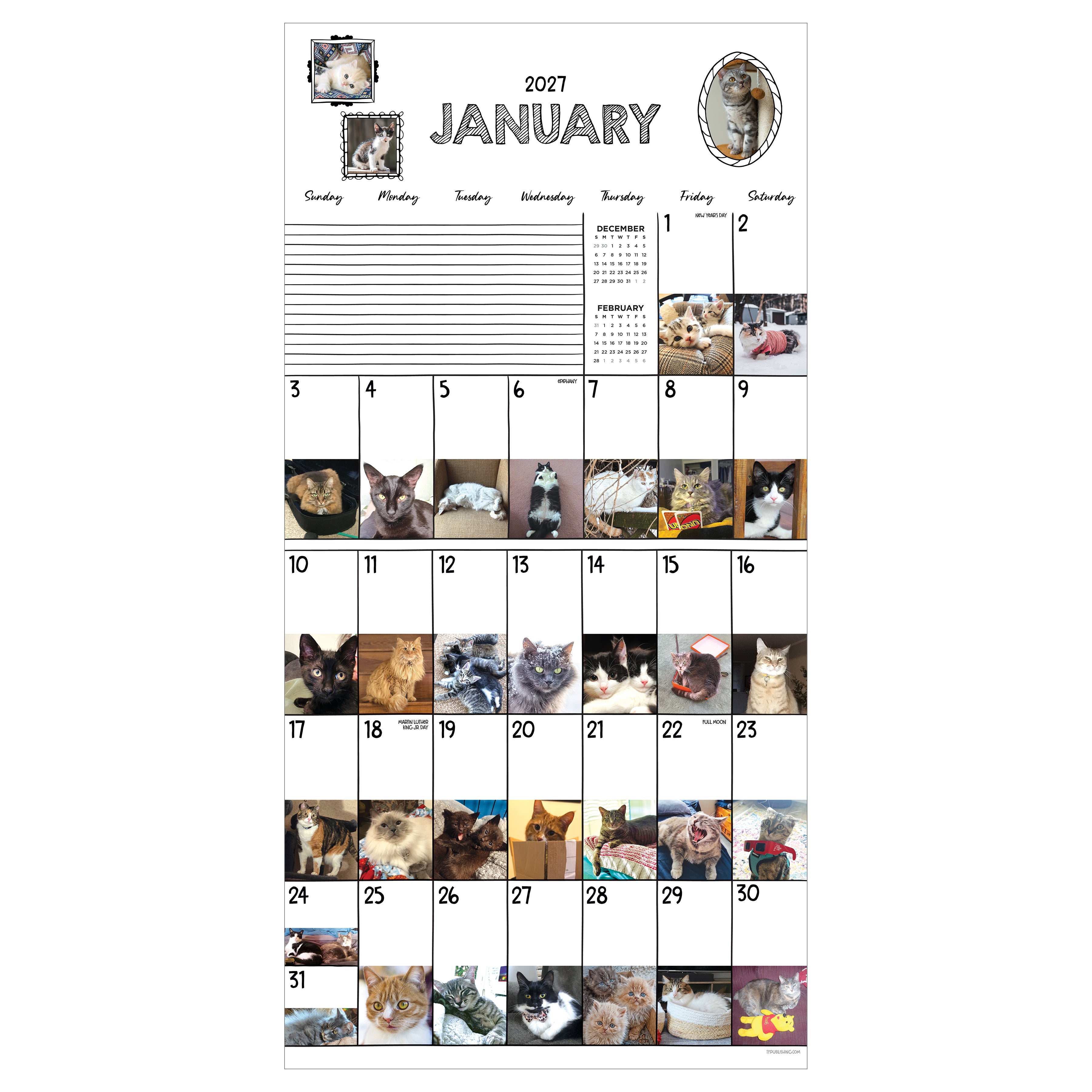2027 Cat-A-Day - Square Wall Calendar