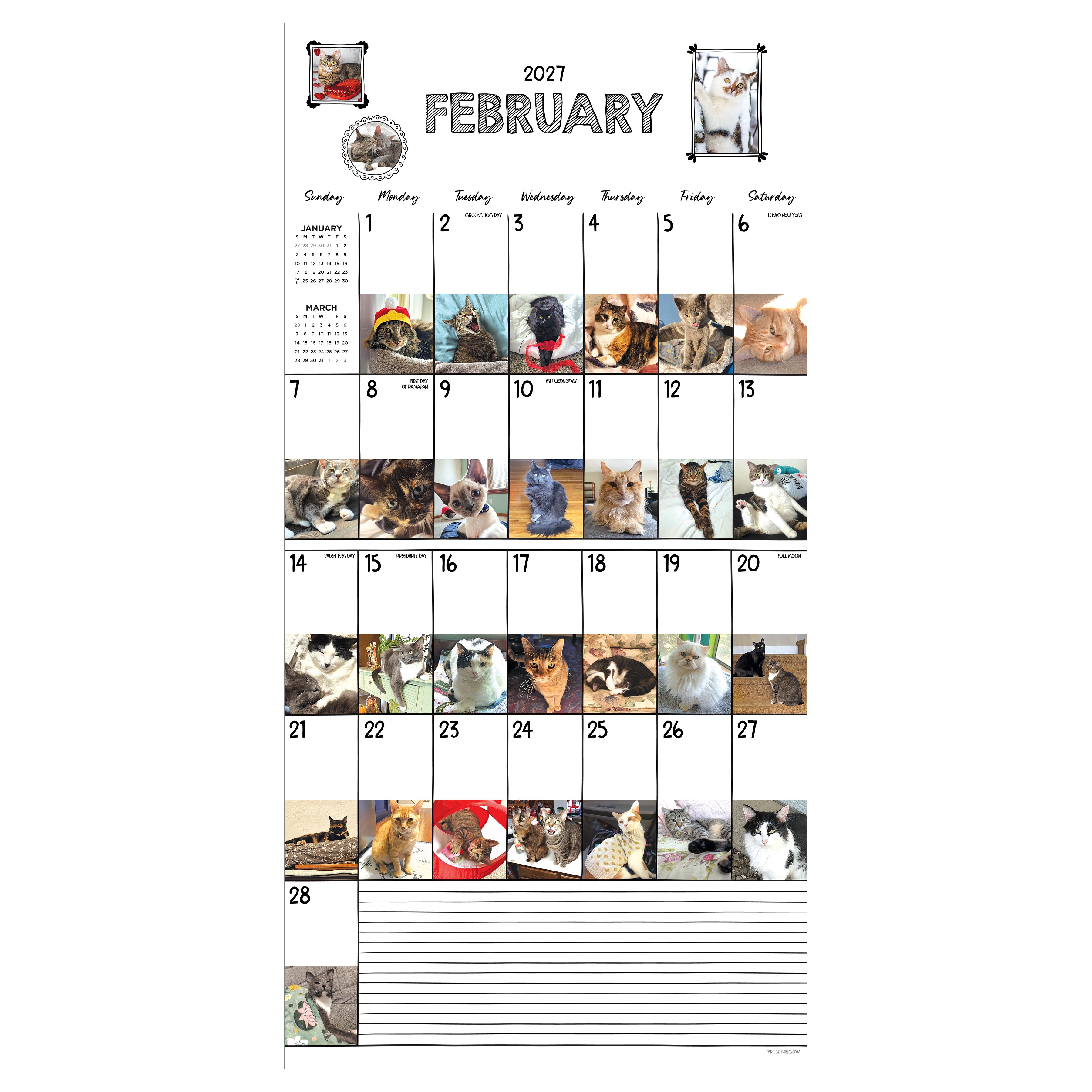 2027 Cat-A-Day - Square Wall Calendar