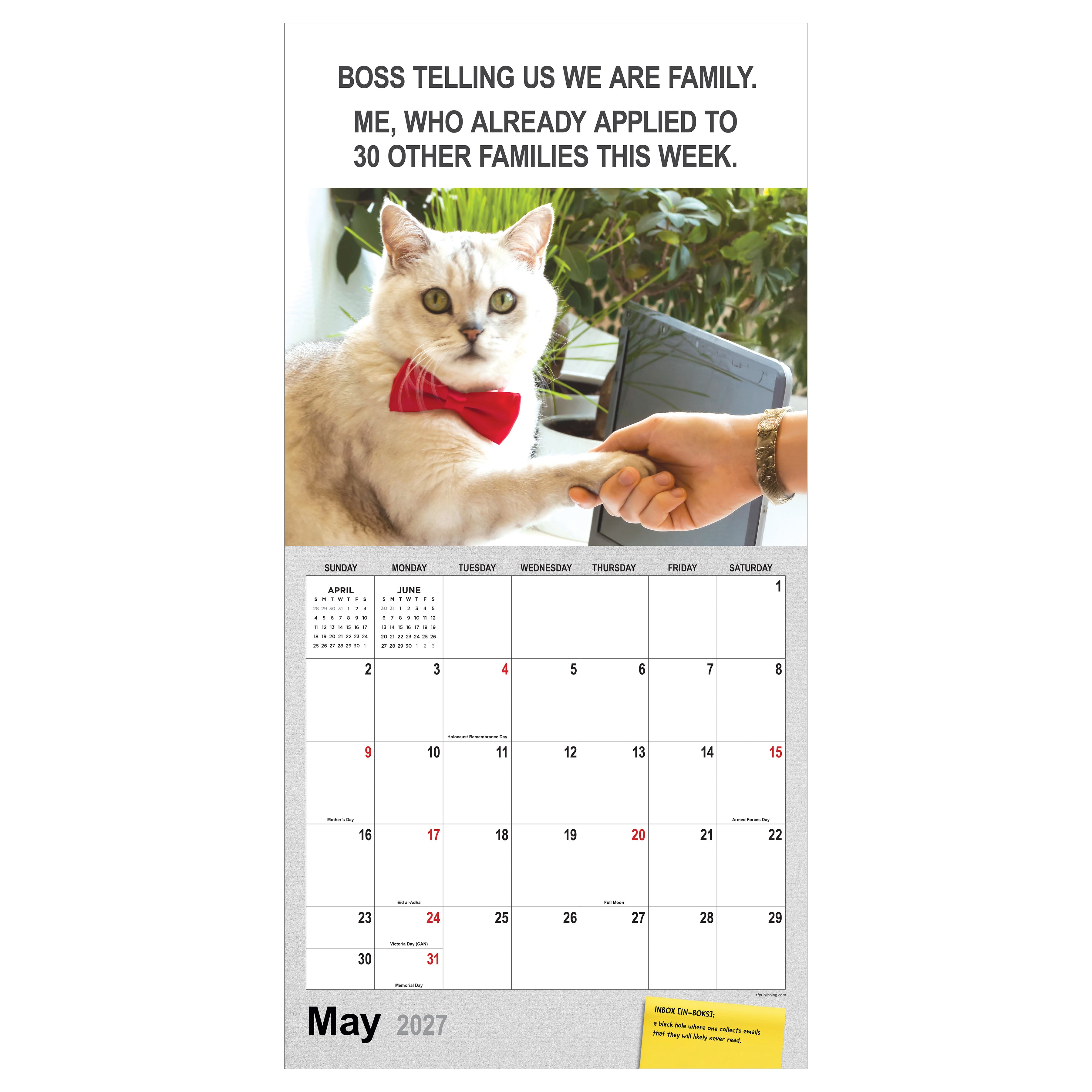 2027 Corporate Cats - Square Wall Calendar