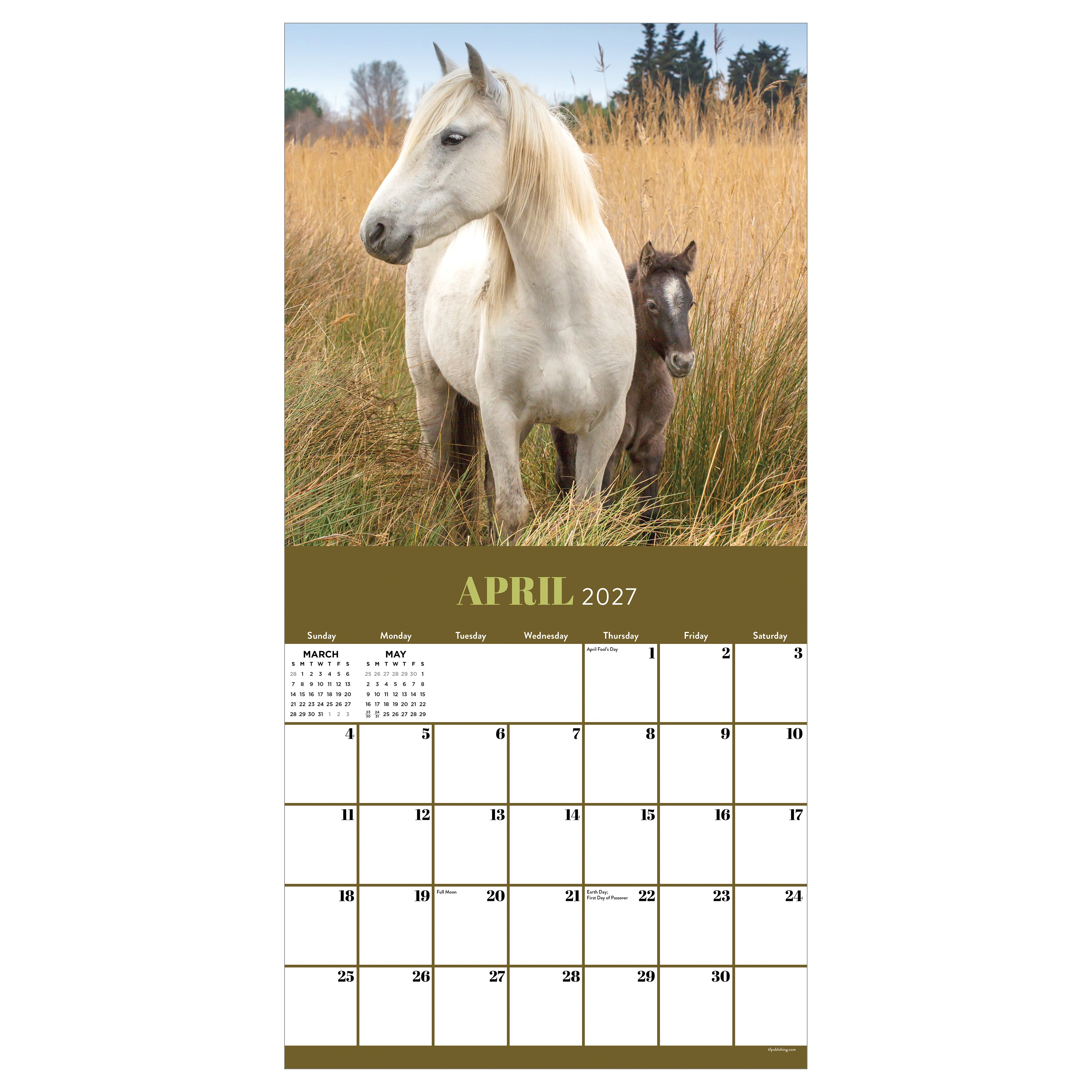 2027 Horses - Square Wall Calendar by TF Publishing