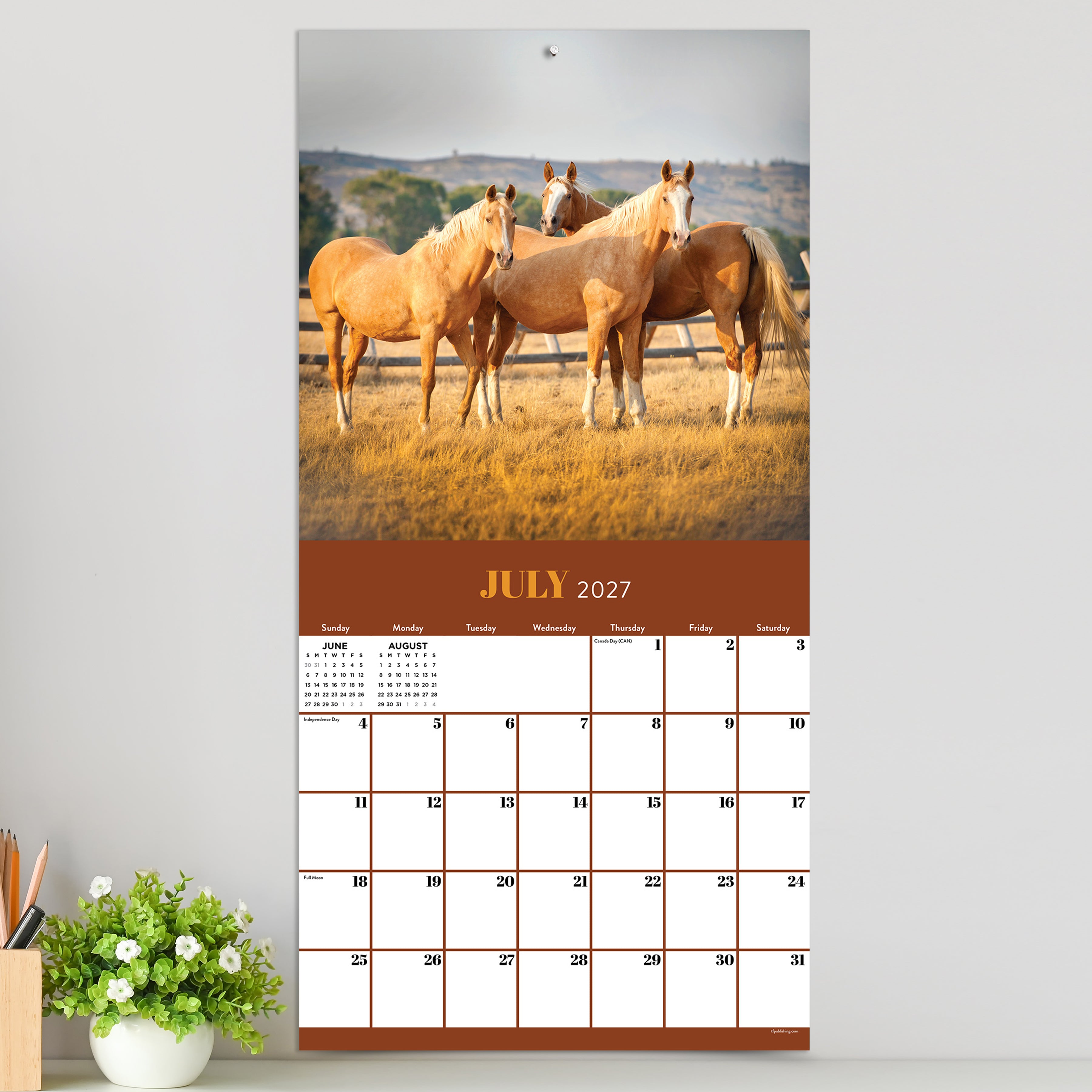 2027 Horses - Square Wall Calendar by TF Publishing