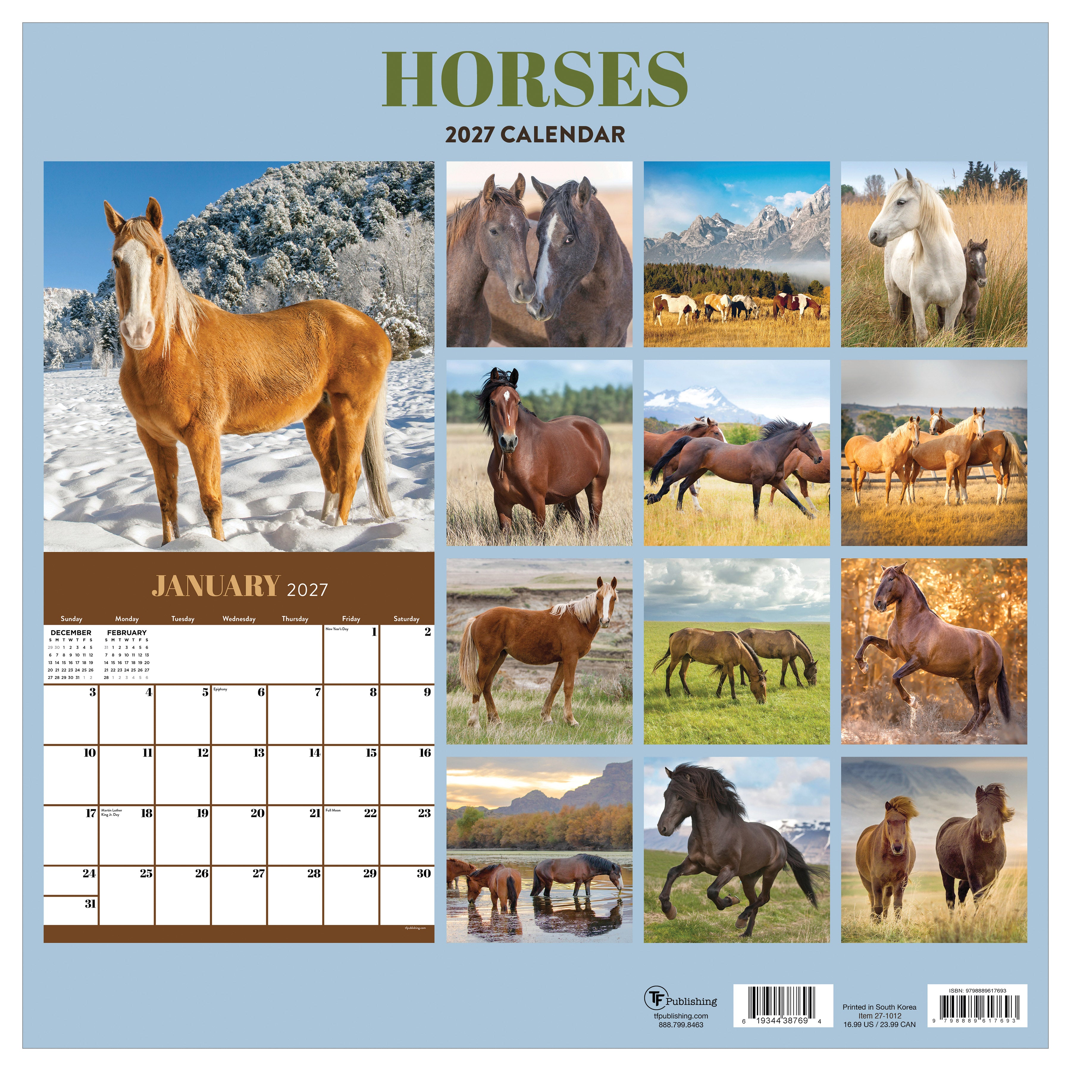 2027 Horses - Square Wall Calendar by TF Publishing