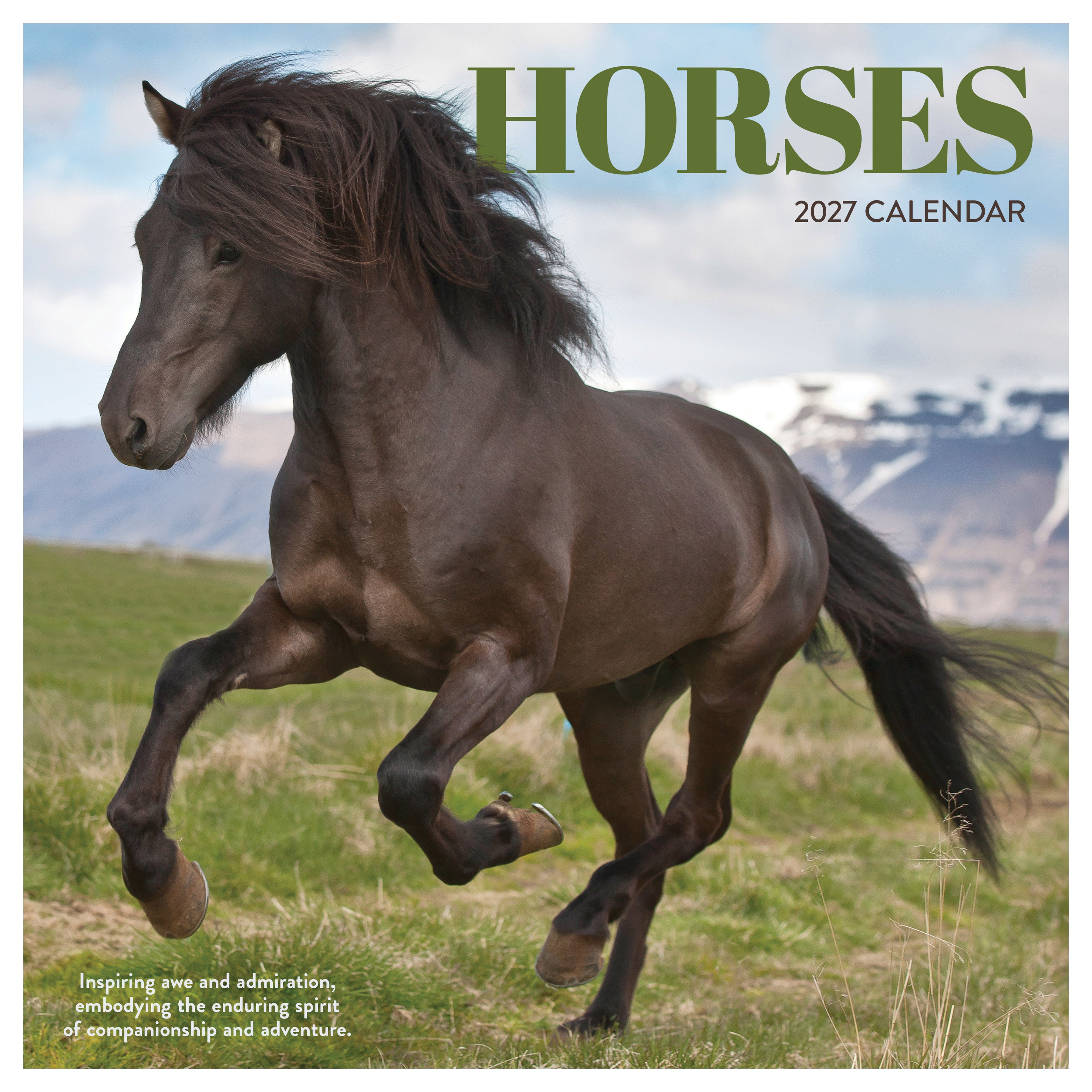2027 Horses - Square Wall Calendar by TF Publishing
