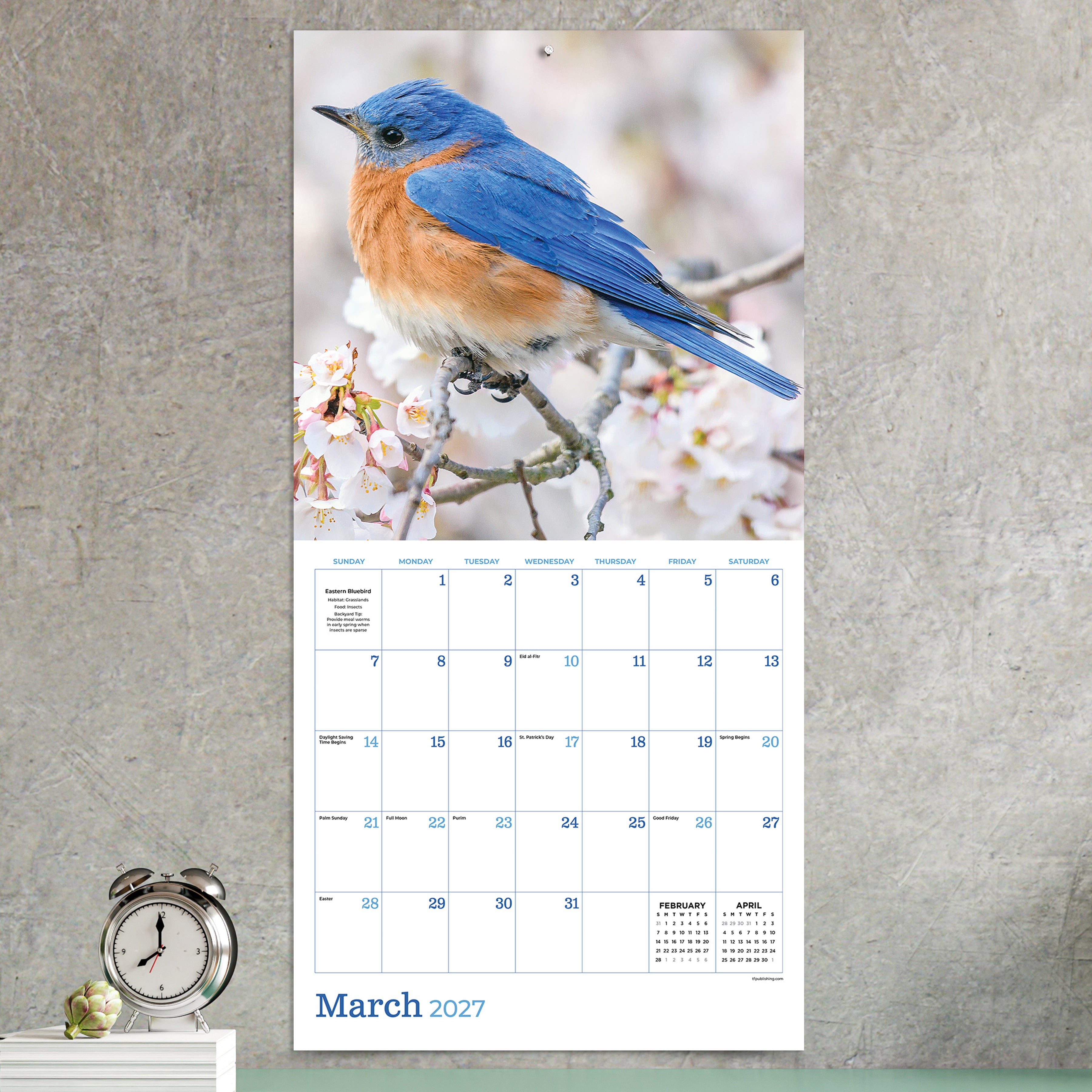 2027 Backyard Birds - Square Wall Calendar