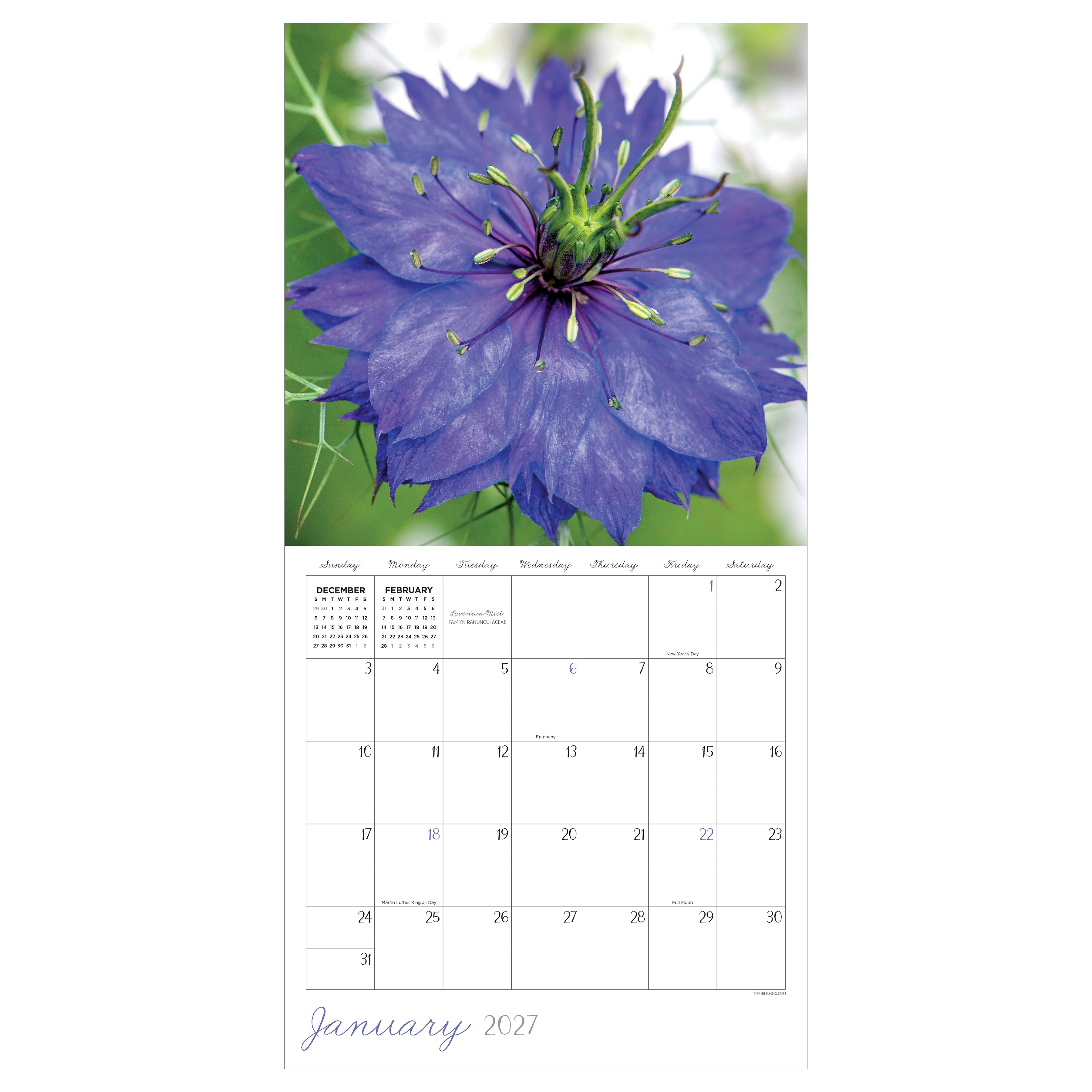 2027 Flowers - Square Wall Calendar