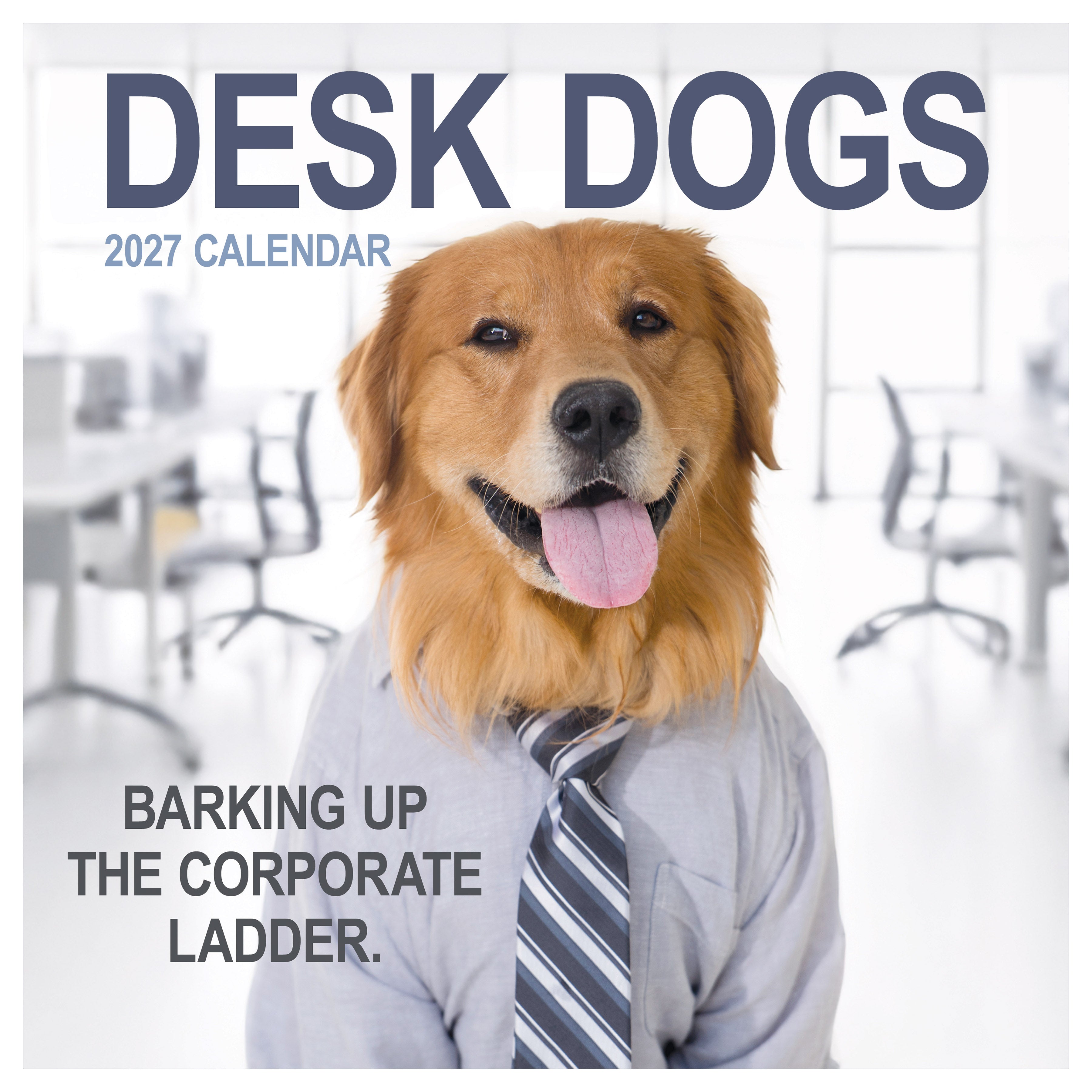 2027 Desk Dogs - Square Wall Calendar