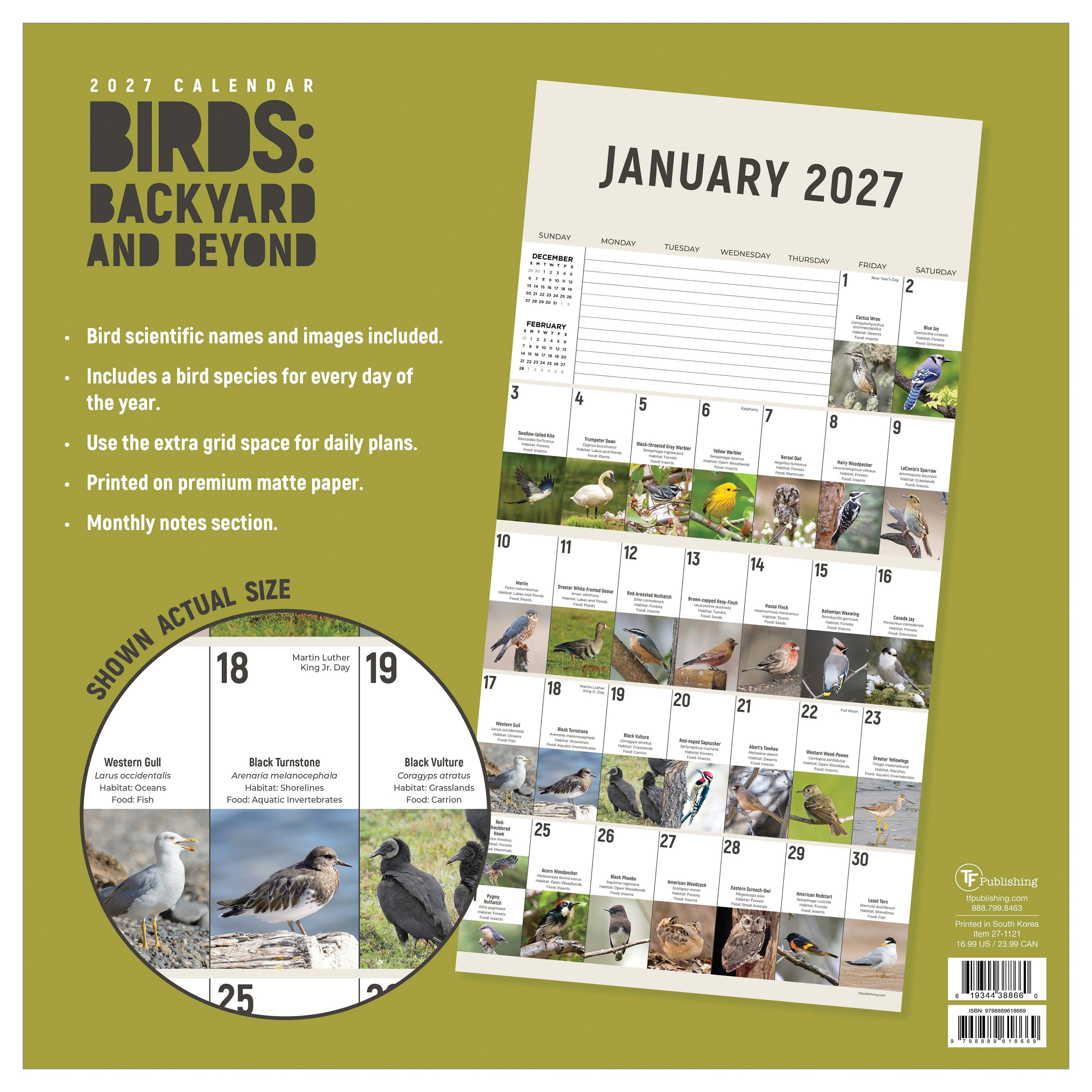 2027 Birds: Backyard and Beyond - Square Wall Calendar
