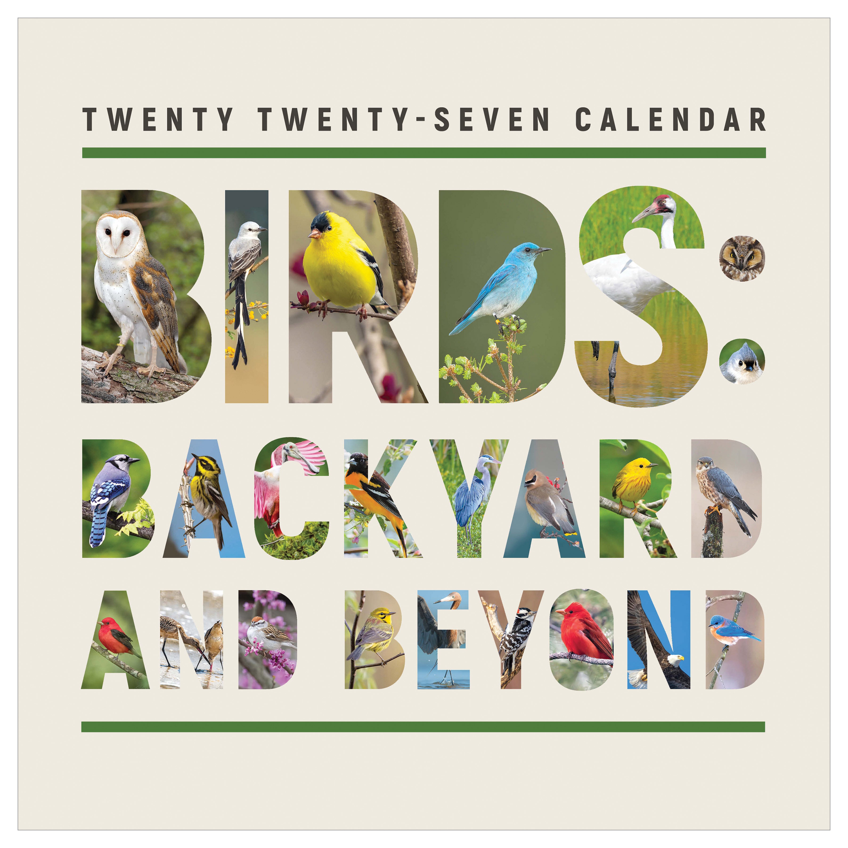 2027 Birds: Backyard and Beyond - Square Wall Calendar