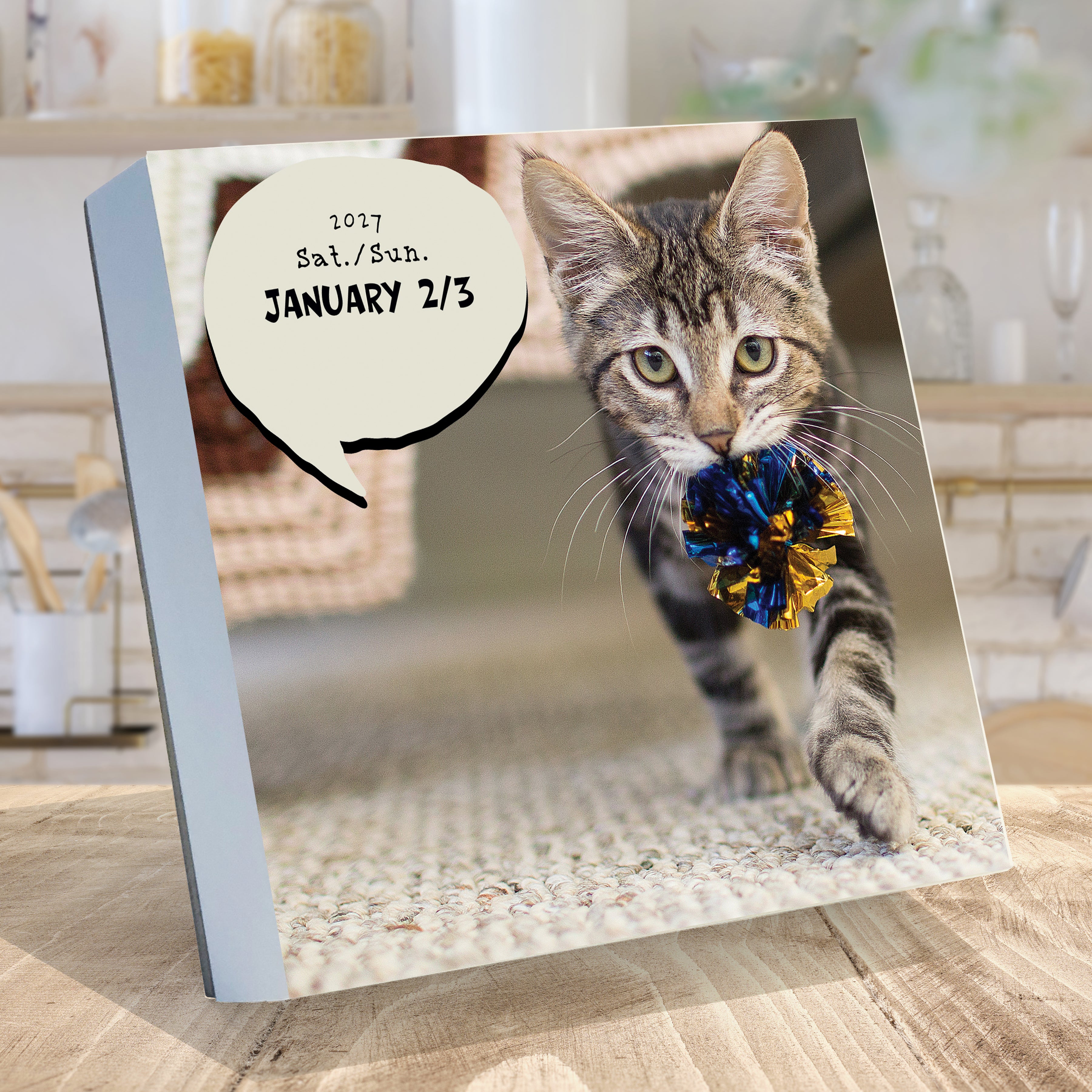 2027 Cat A Day - Boxed Page-A-Day Calendar