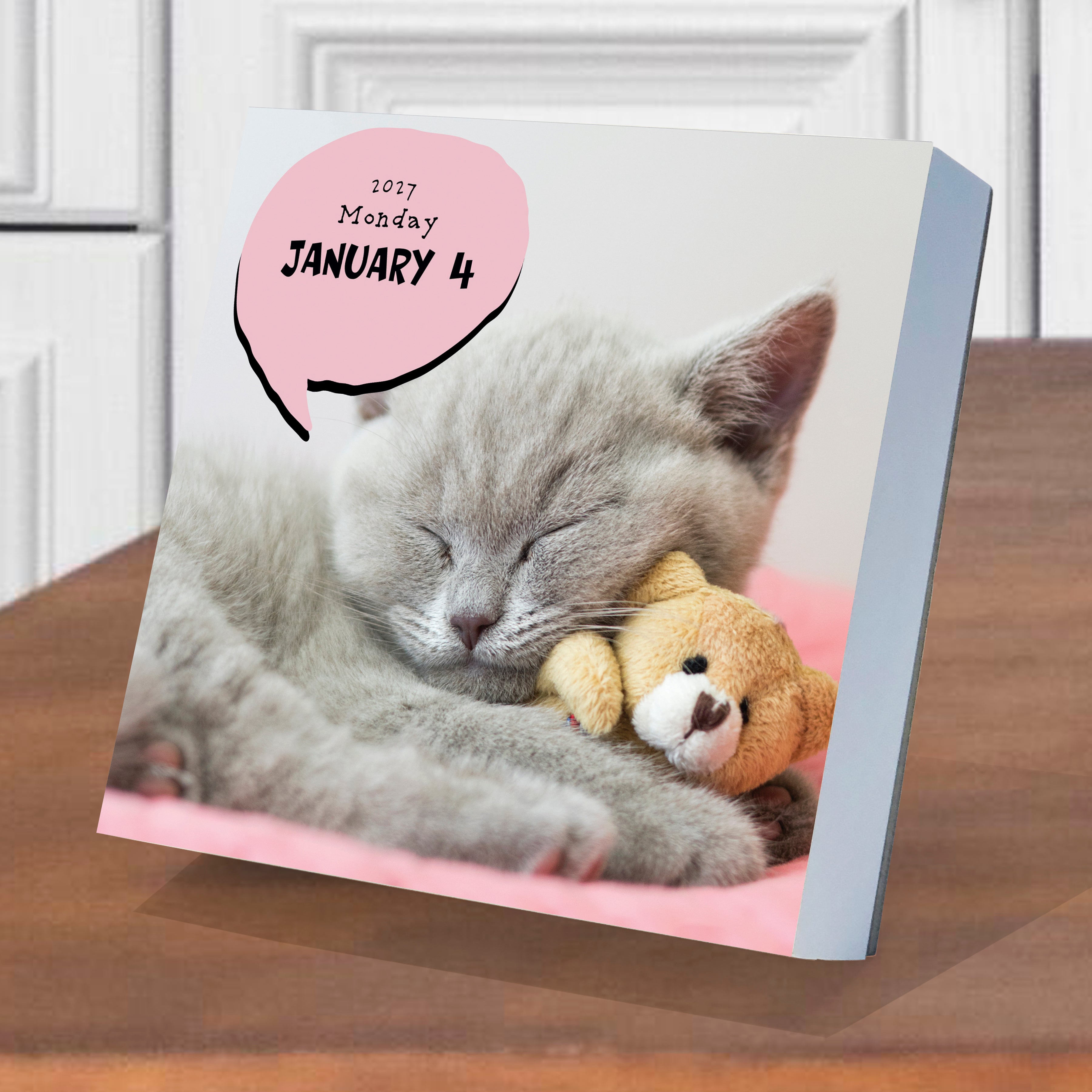 2027 Cat A Day - Boxed Page-A-Day Calendar