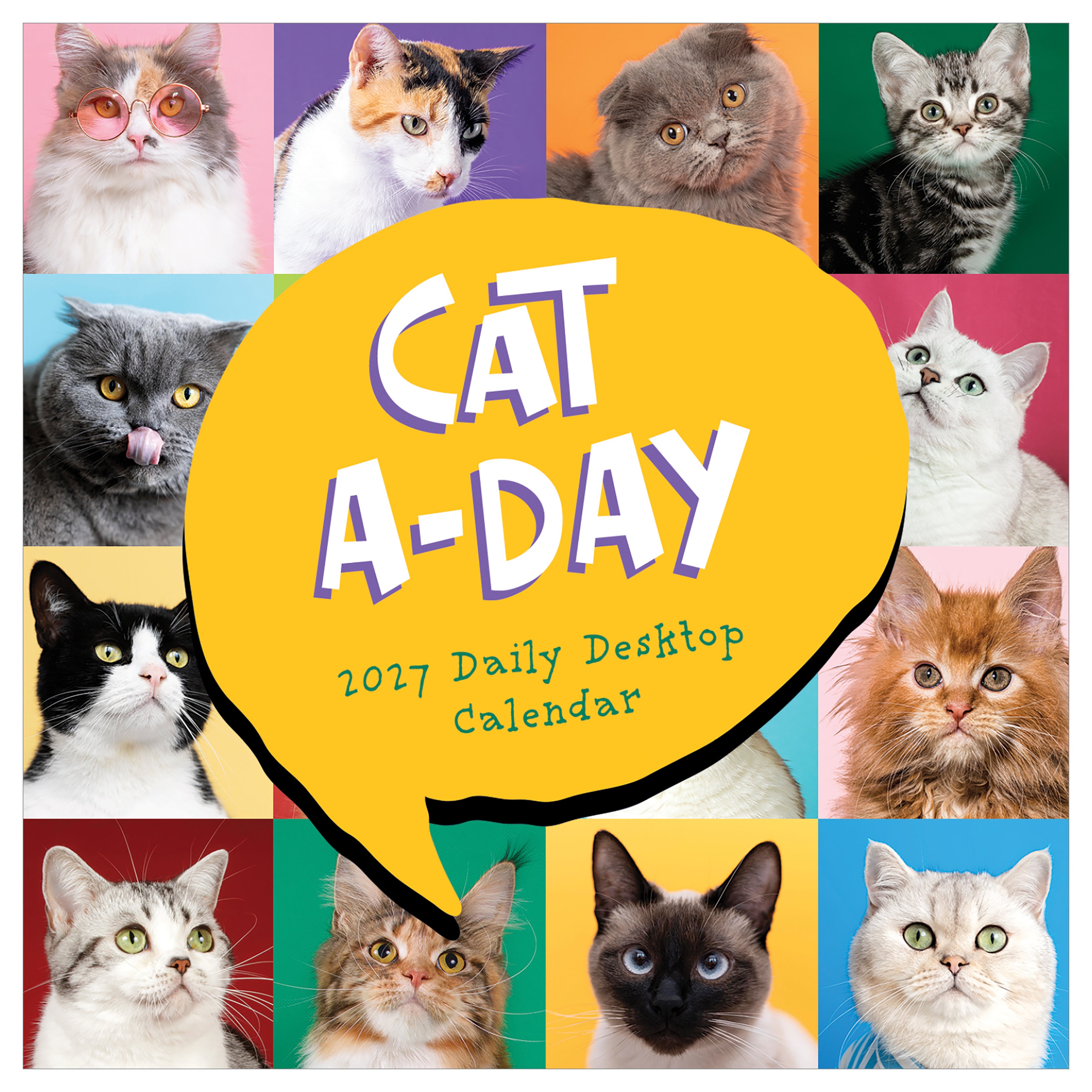 2027 Cat A Day - Boxed Page-A-Day Calendar