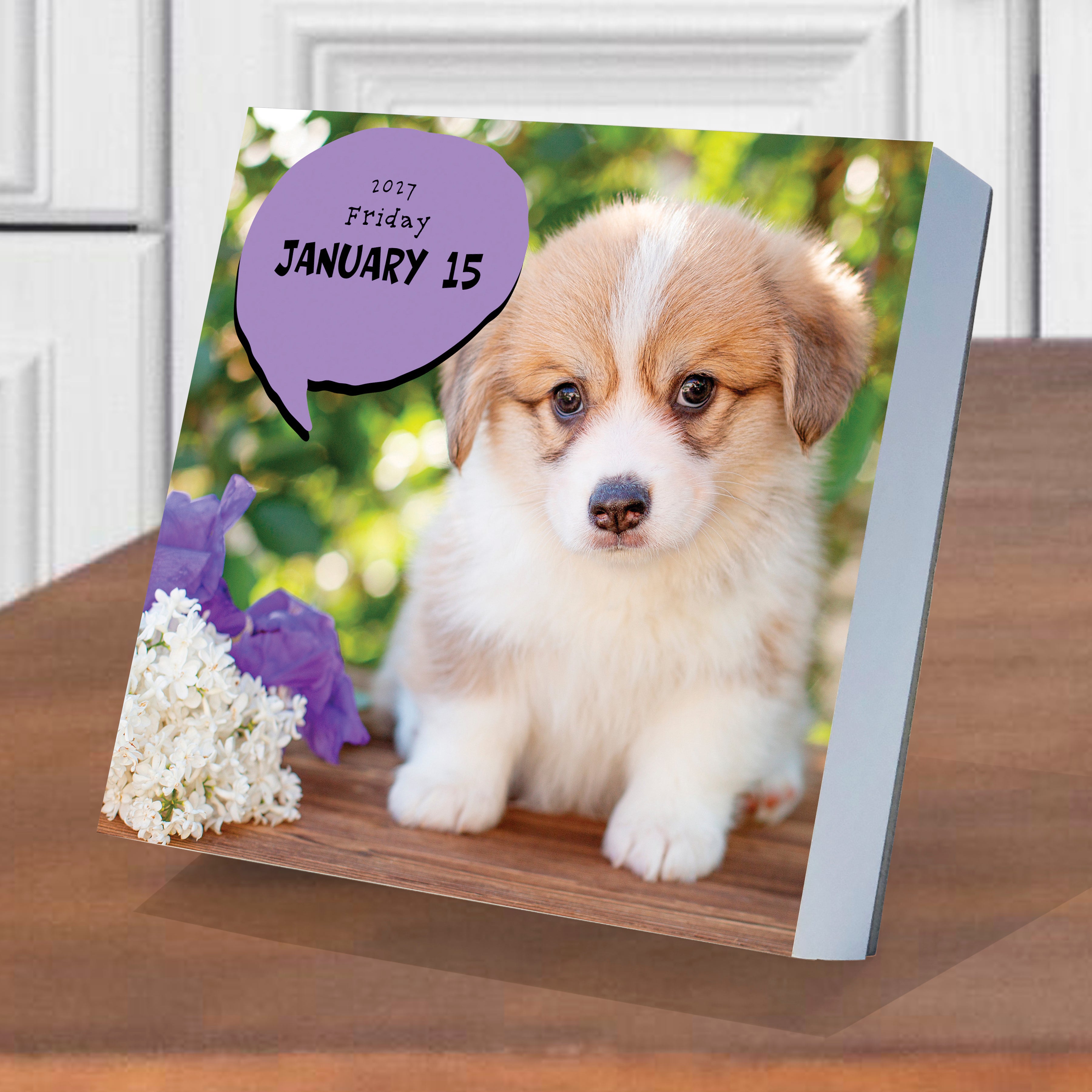2027 Dog A Day - Boxed Page-A-Day Calendar
