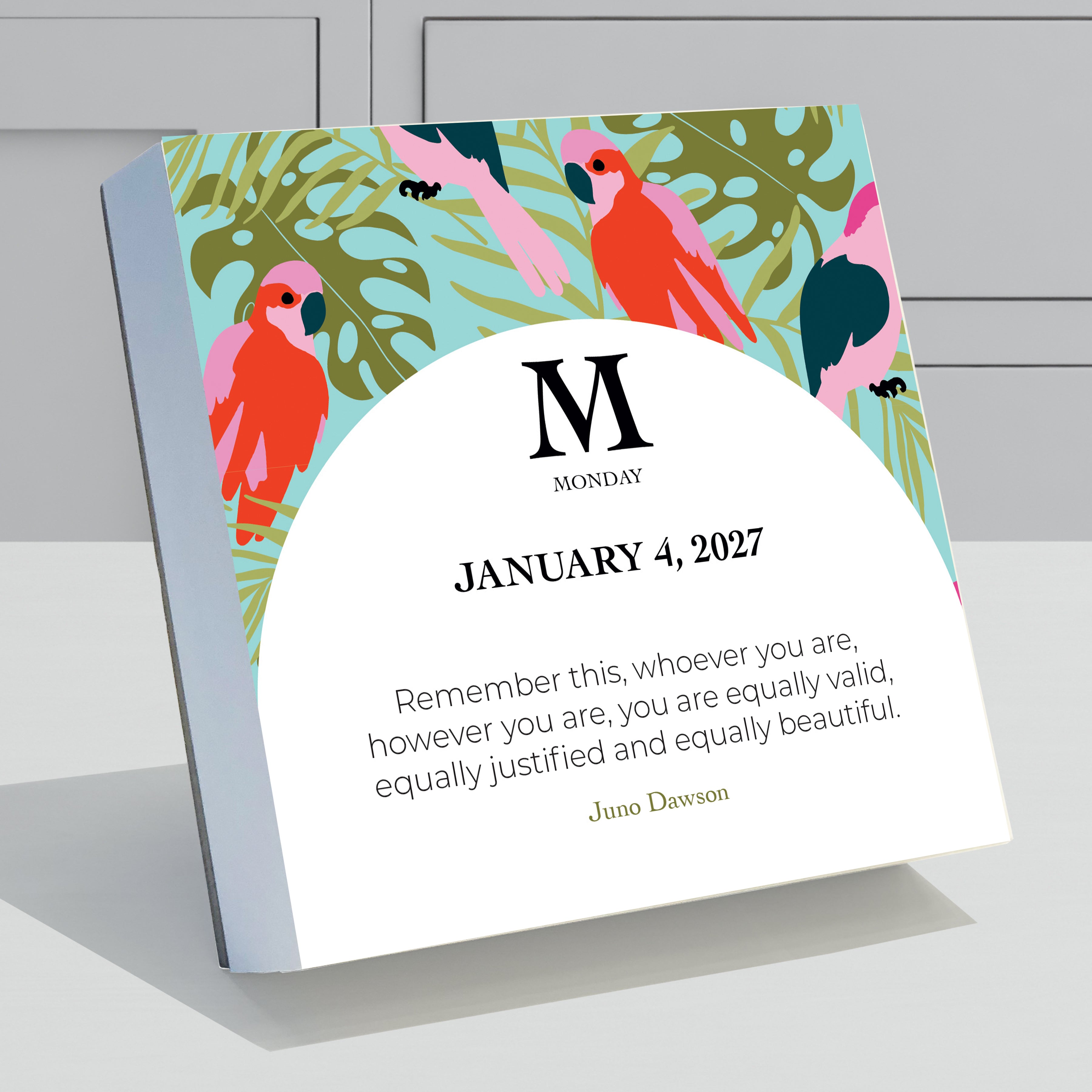 2027 365 Inspiring Women - Boxed Page-A-Day Calendar