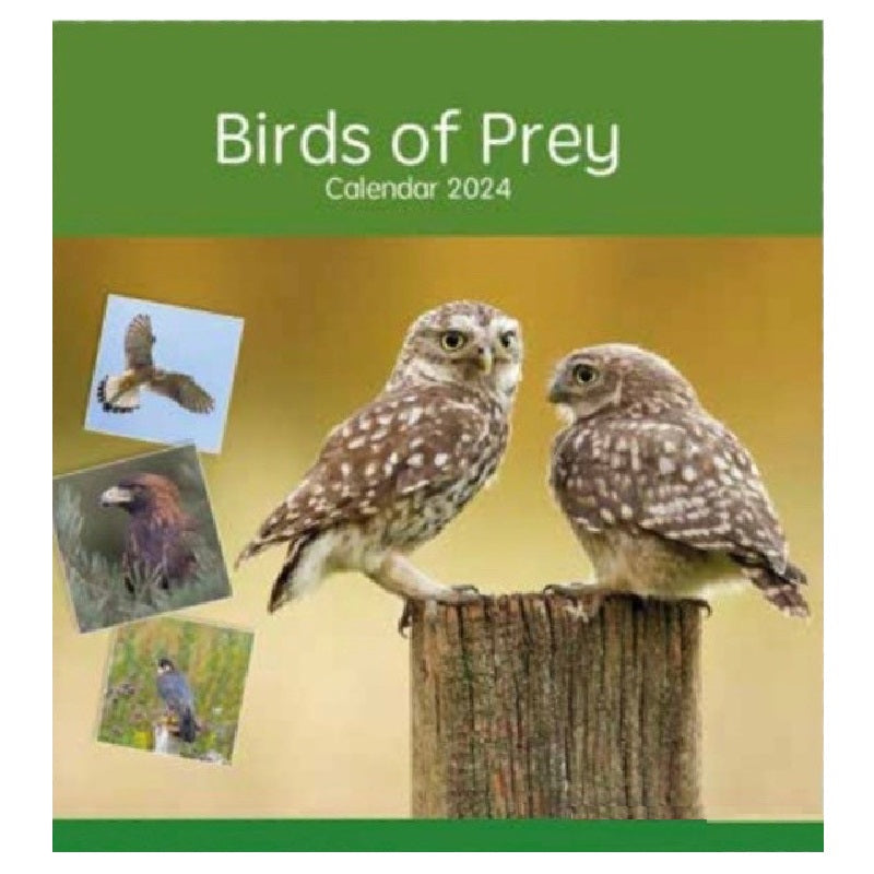 2024 Birds of Prey Square Wall Calendar