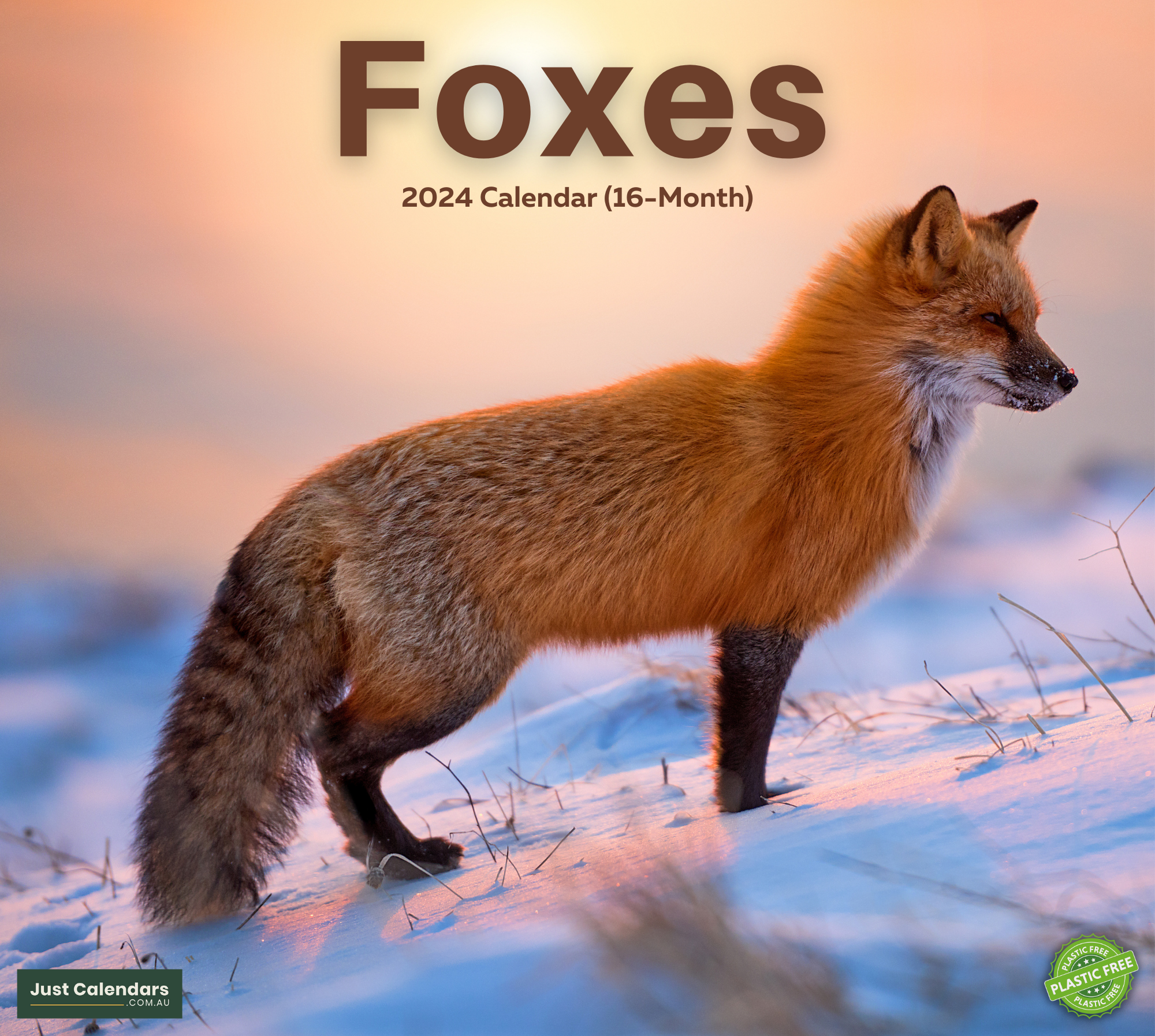 2024 Foxes - Deluxe Wall Calendar by Just Calendars - 16 Month - Plastic Free - Fox in the nature