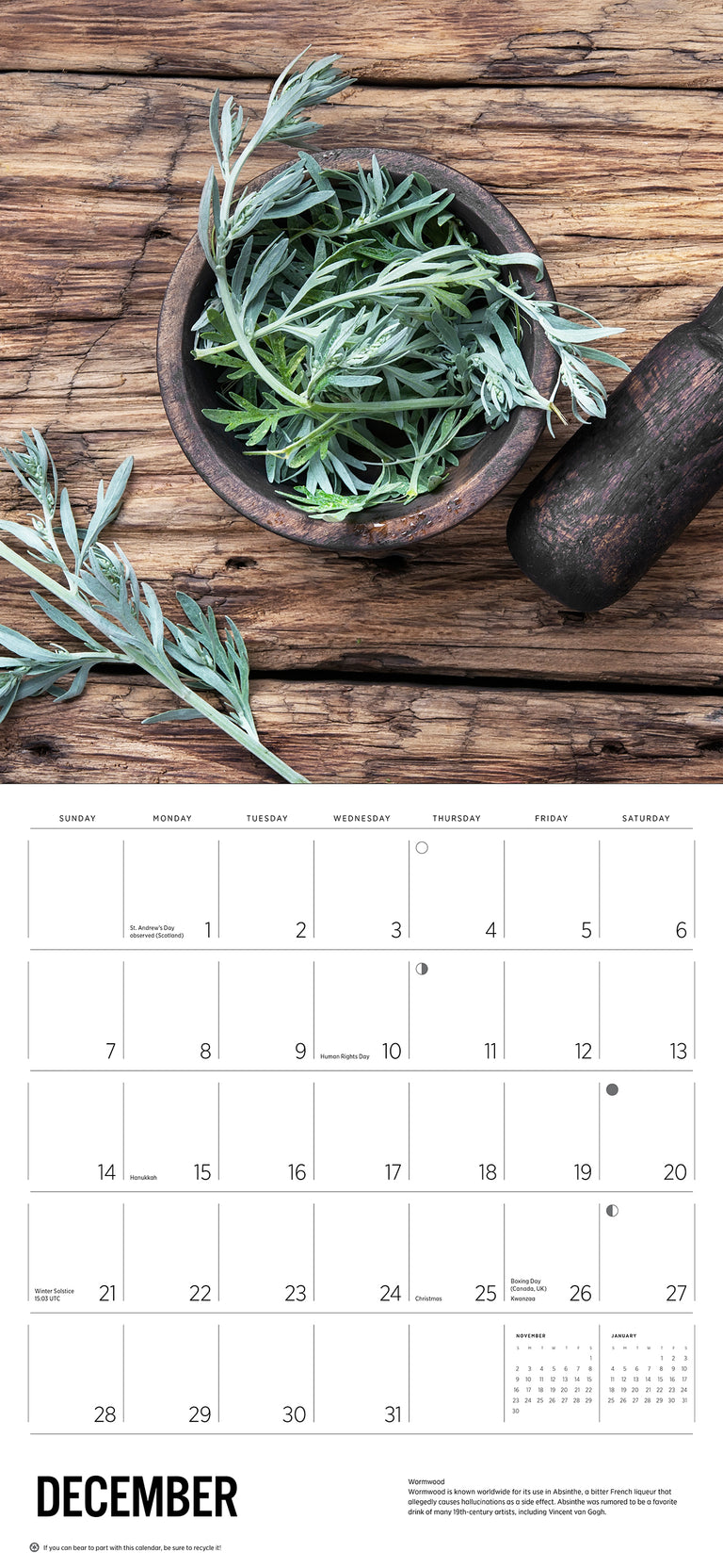 2025 Herbs - Square Wall Calendar