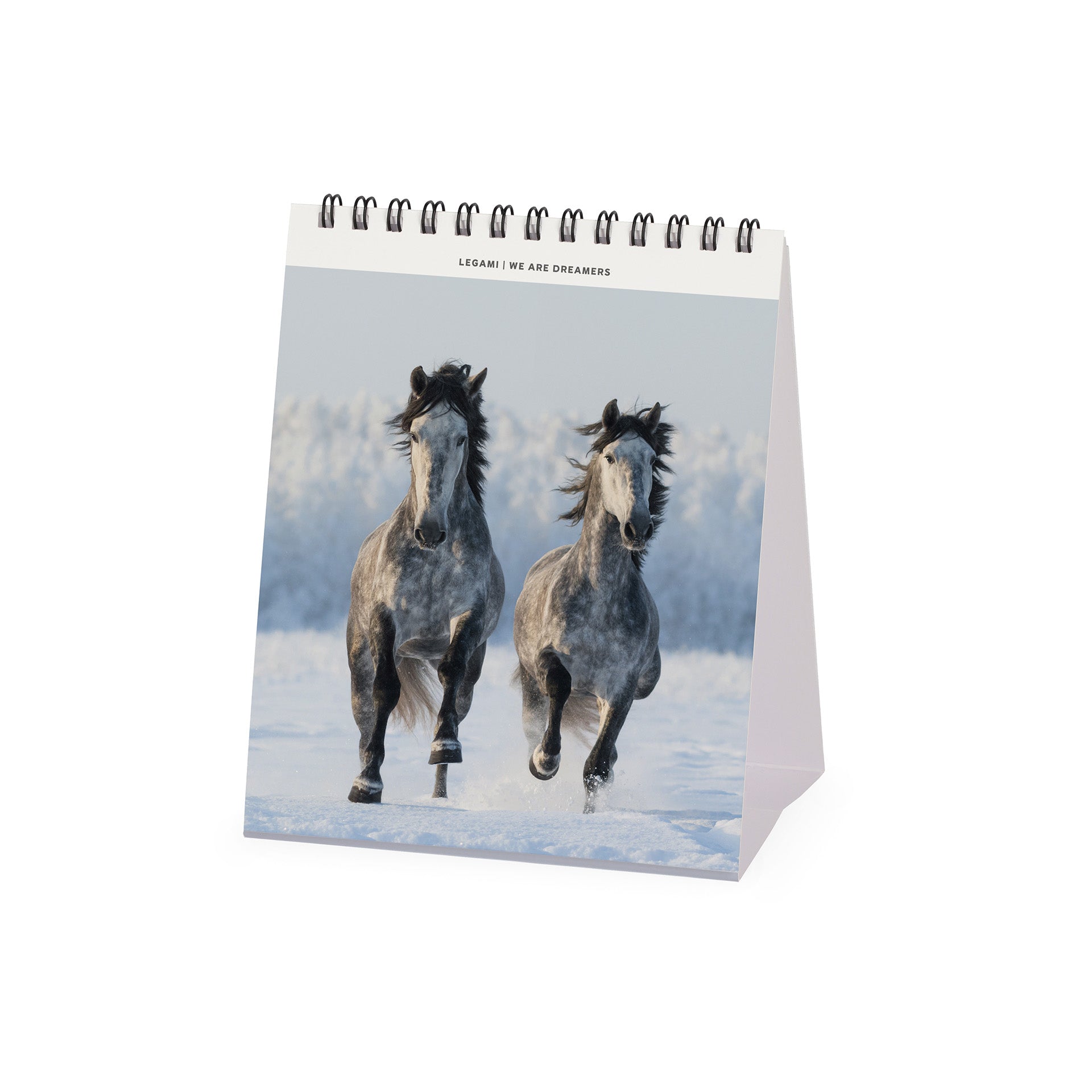 2025 Wild Horses - Desk Easel Calendar