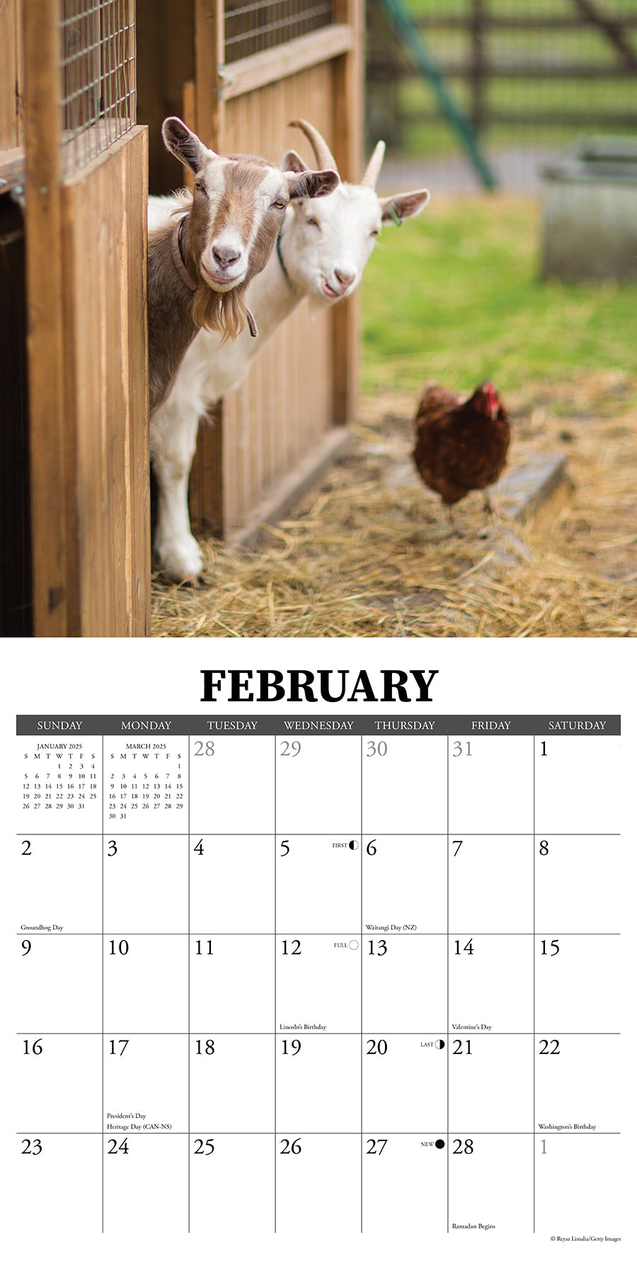 2025 Farms - Square Wall Calendar