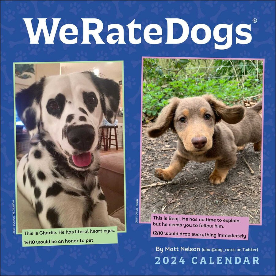 2024 We Rate Dogs - Square Wall Calendar  SOLD OUT