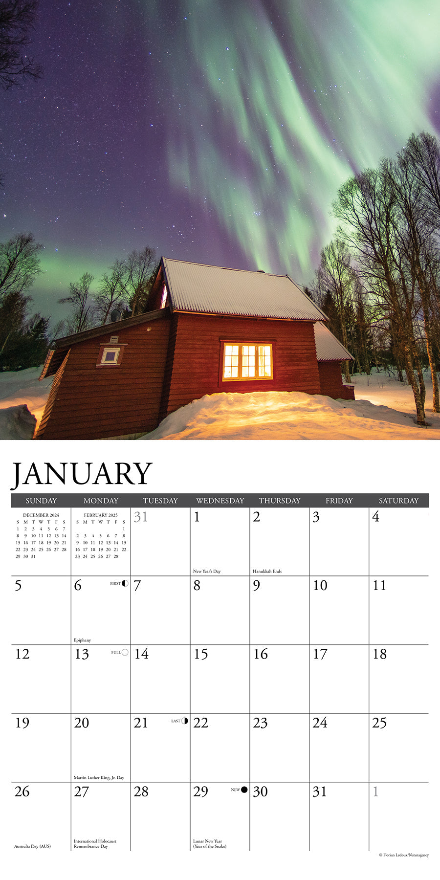 2025 CabinLife - Square Wall Calendar