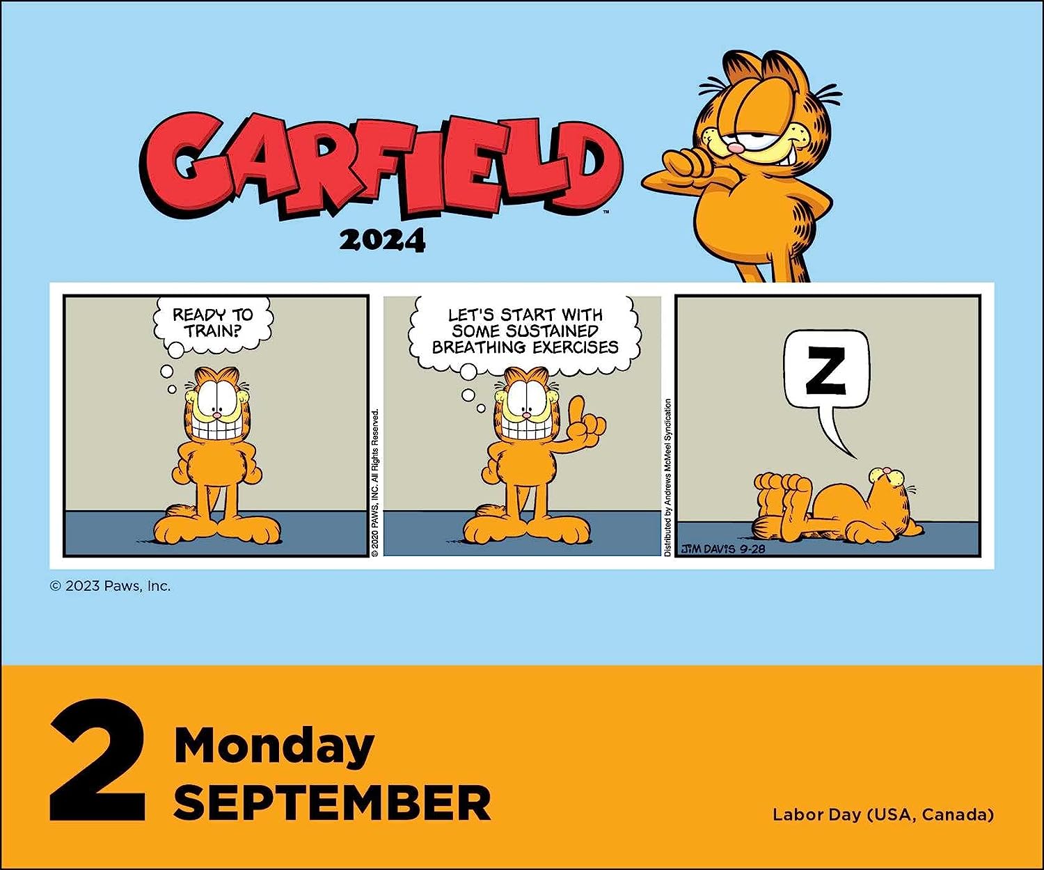 2024 Garfield Daily Boxed PageADay Calendar