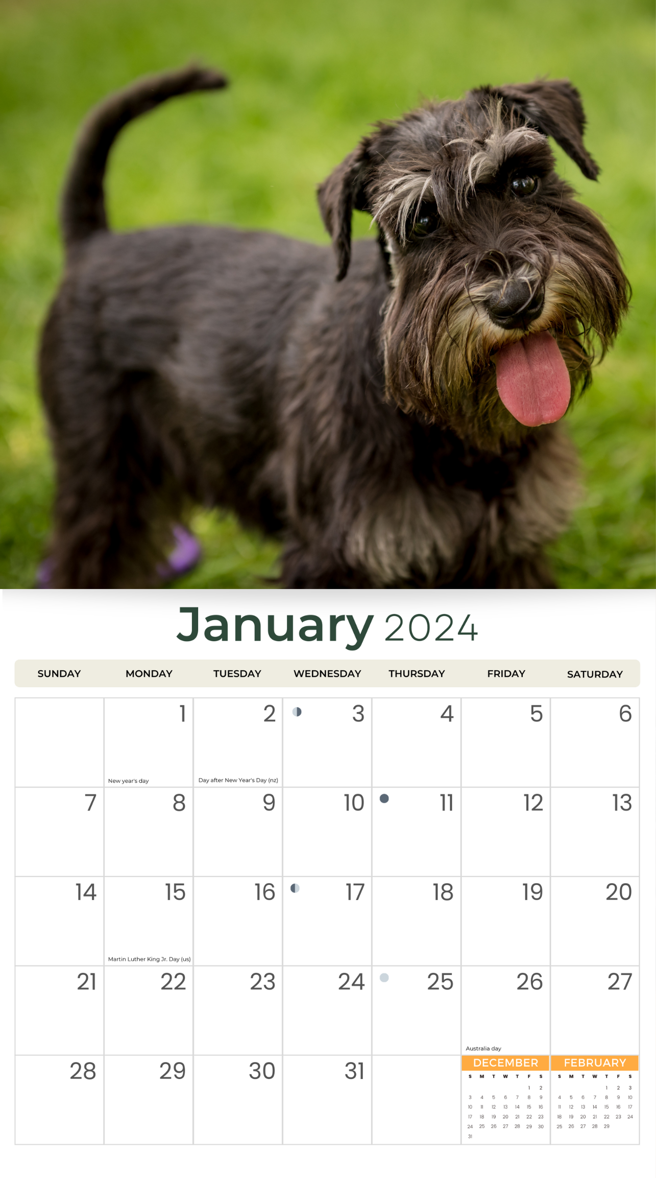 2024 Miniature Schnauzers Deluxe Wall Calendar Dogs & Puppies